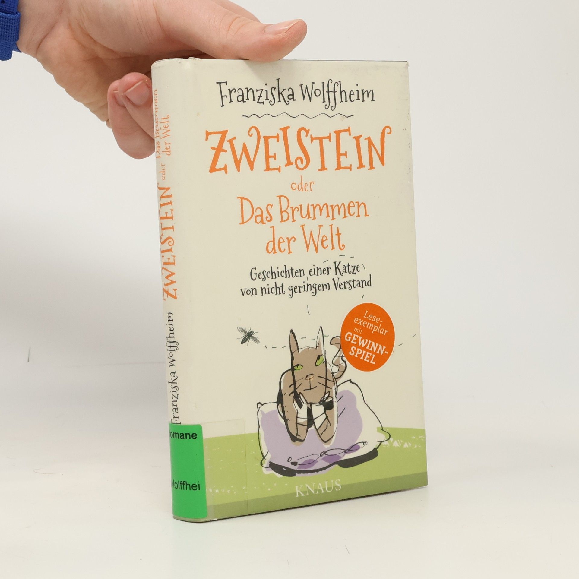 Franziska Wolffheim Zweistein oder Das Brummen der Welt