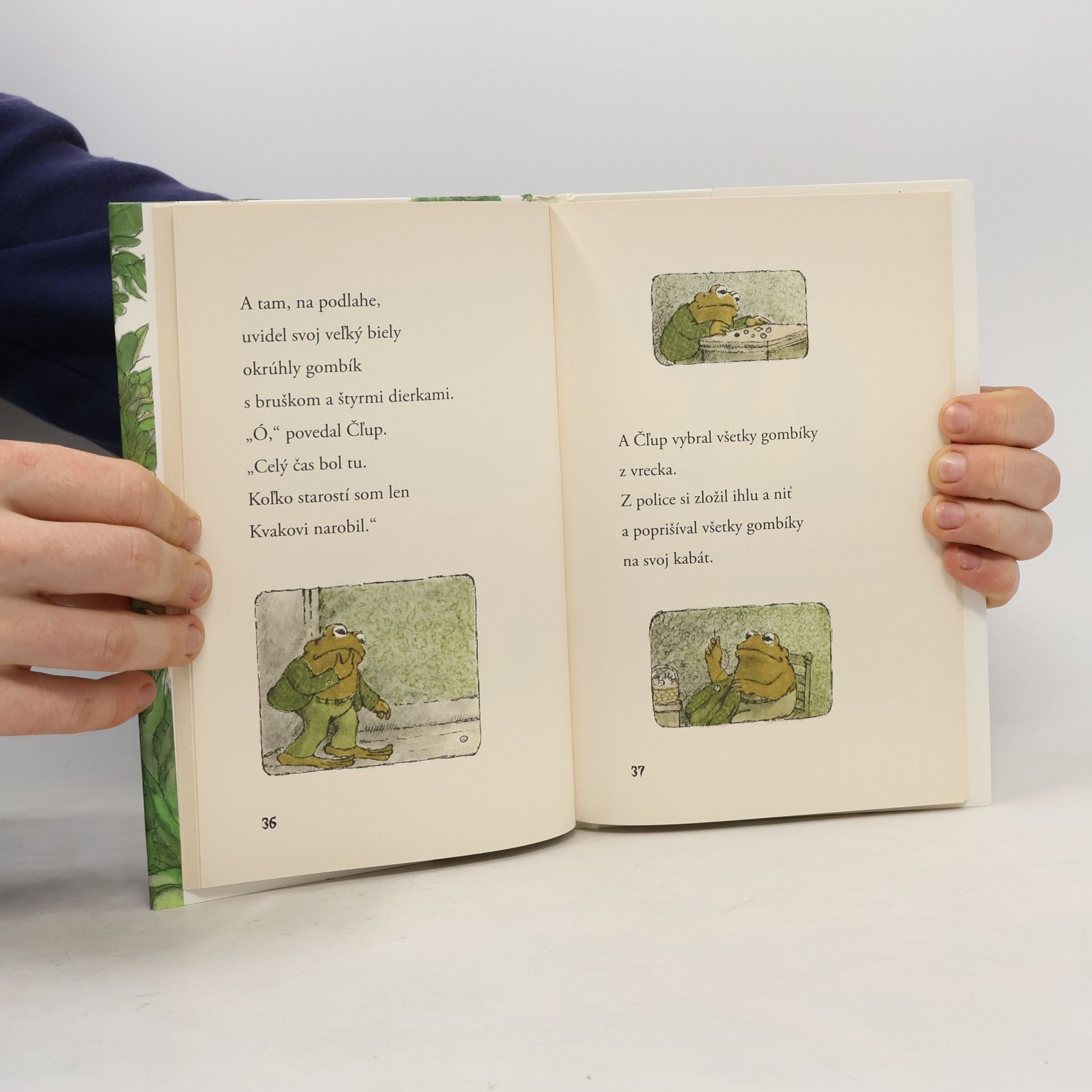 Arnold Lobel Kvak a Čľup sú kamaráti