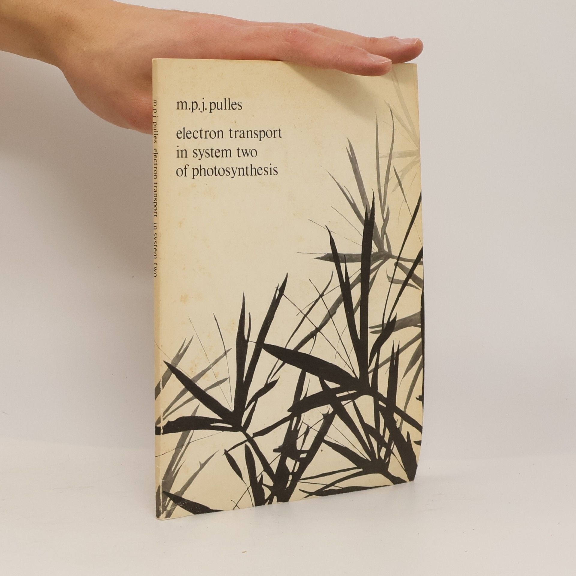 Martinus Petrus Johannes Pulles Electron Transport in System Two of Photosynthesis