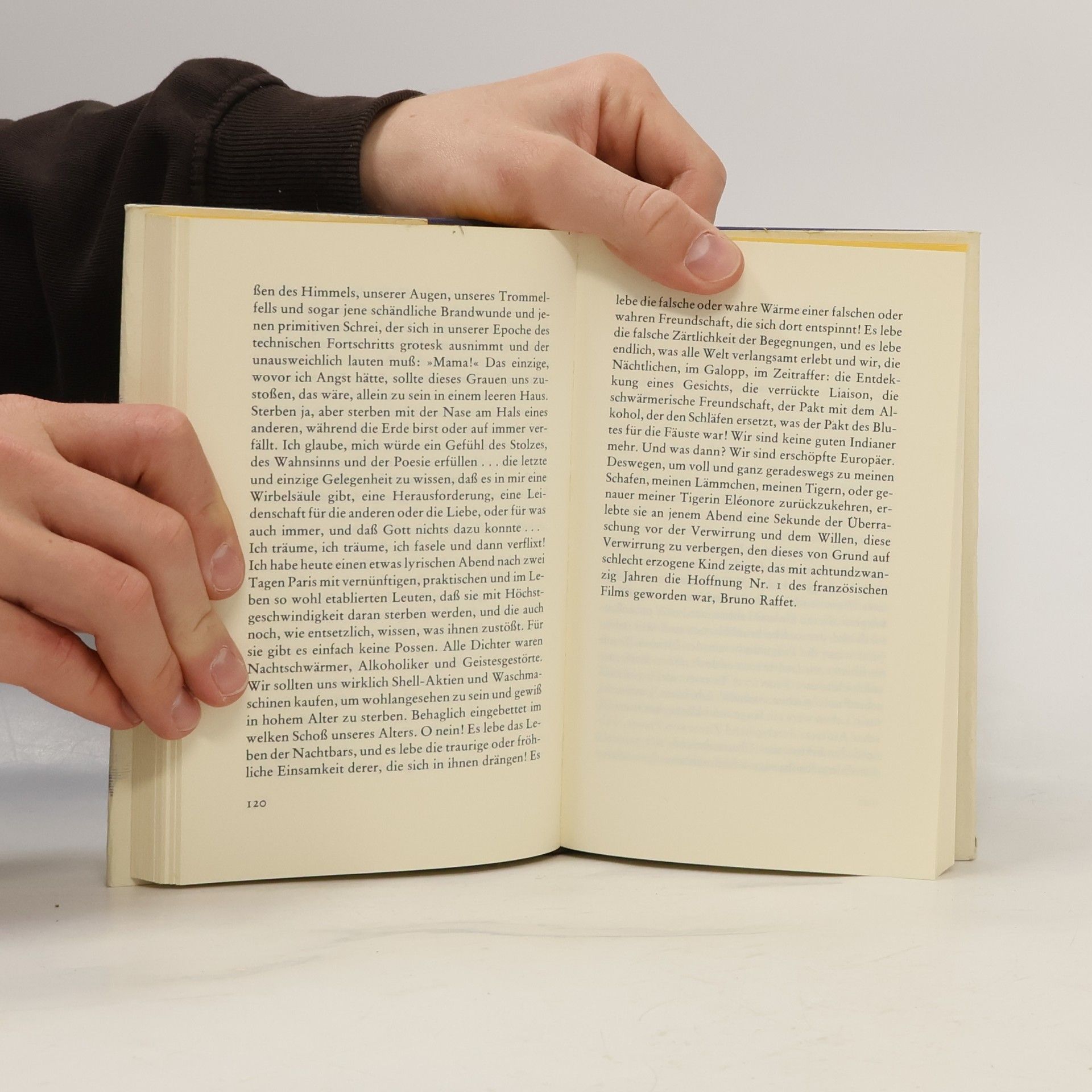 Françoise Sagan Blaue Flecken auf der Seele