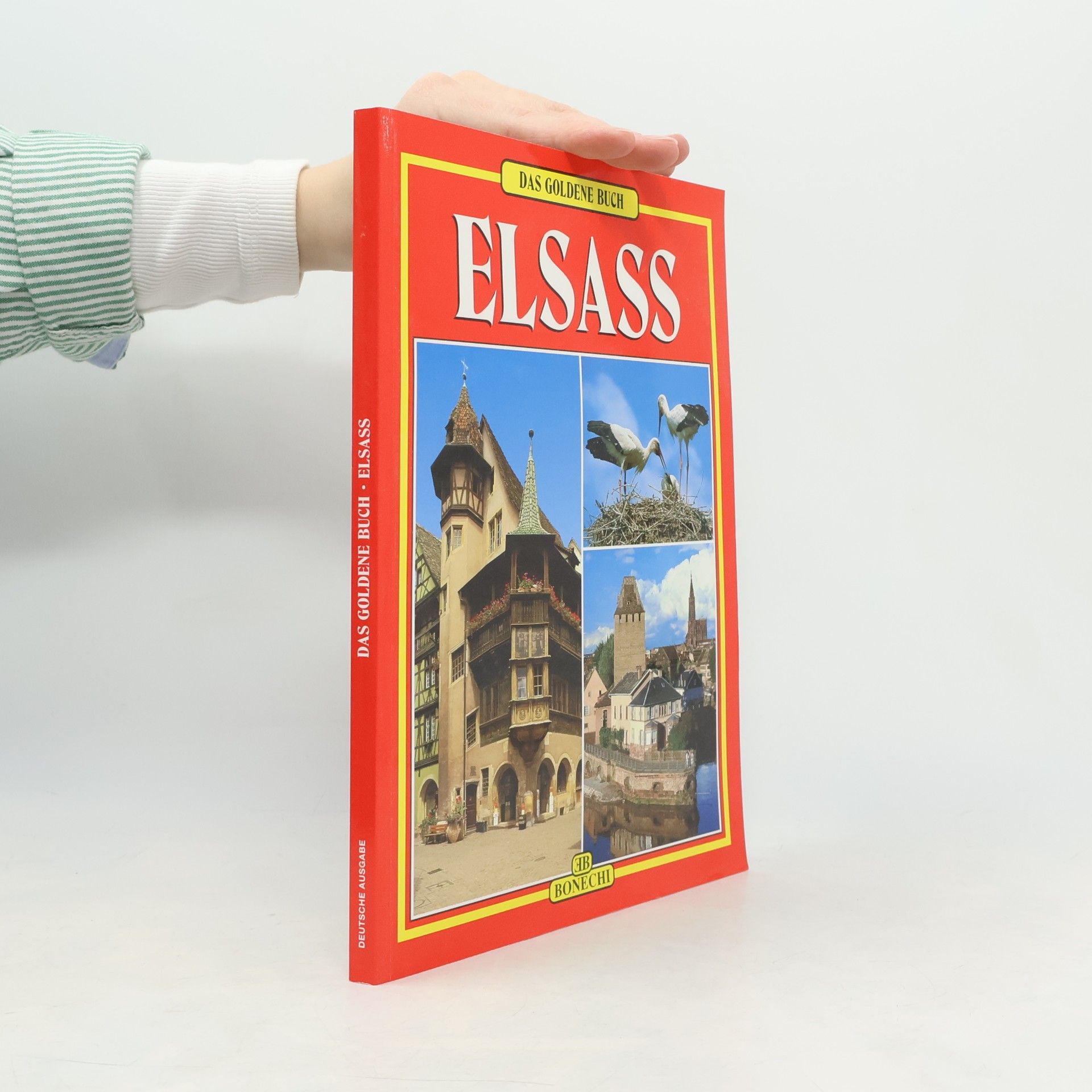 Das goldene Buch Elsass