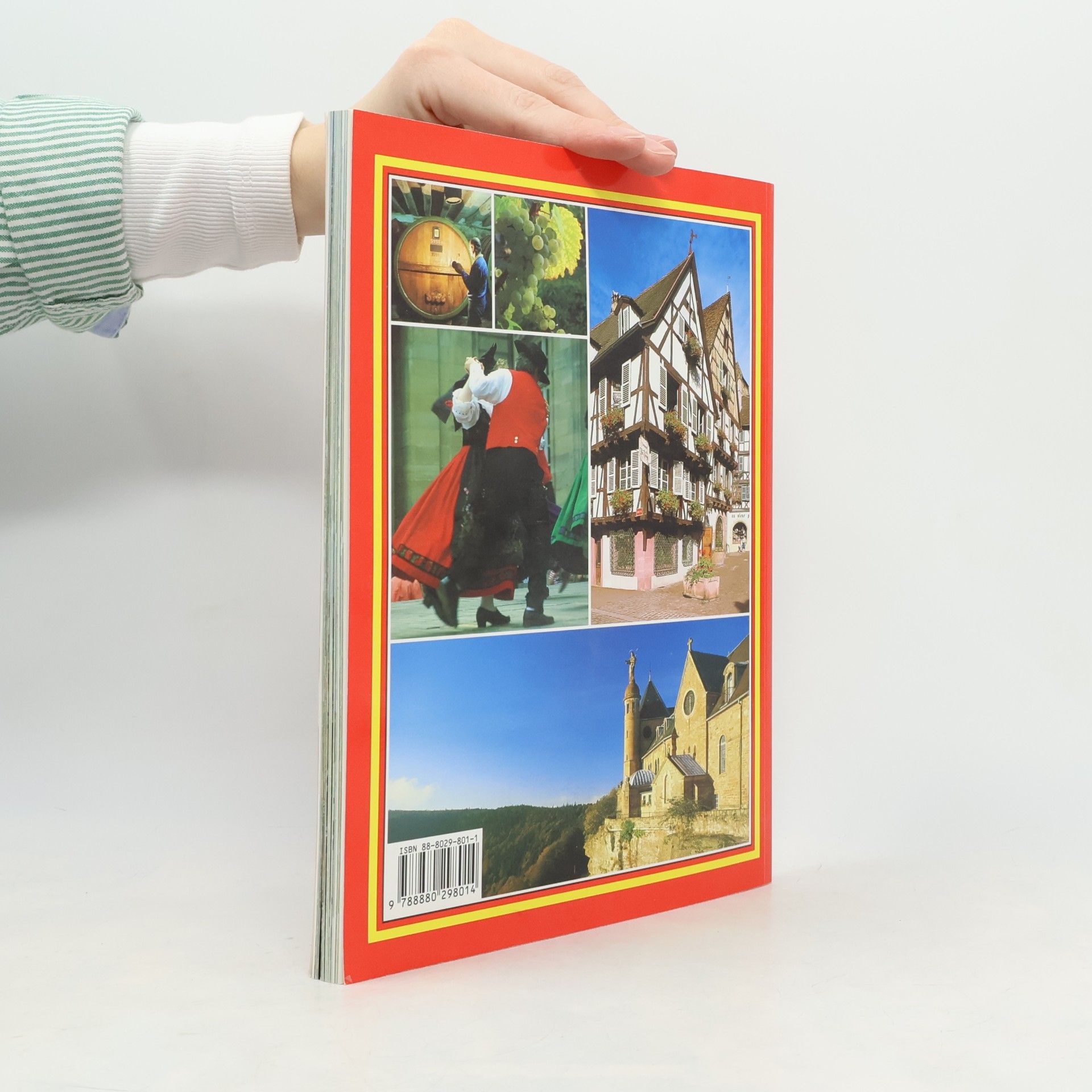 Miche le Caroline Heck Das goldene Buch Elsass