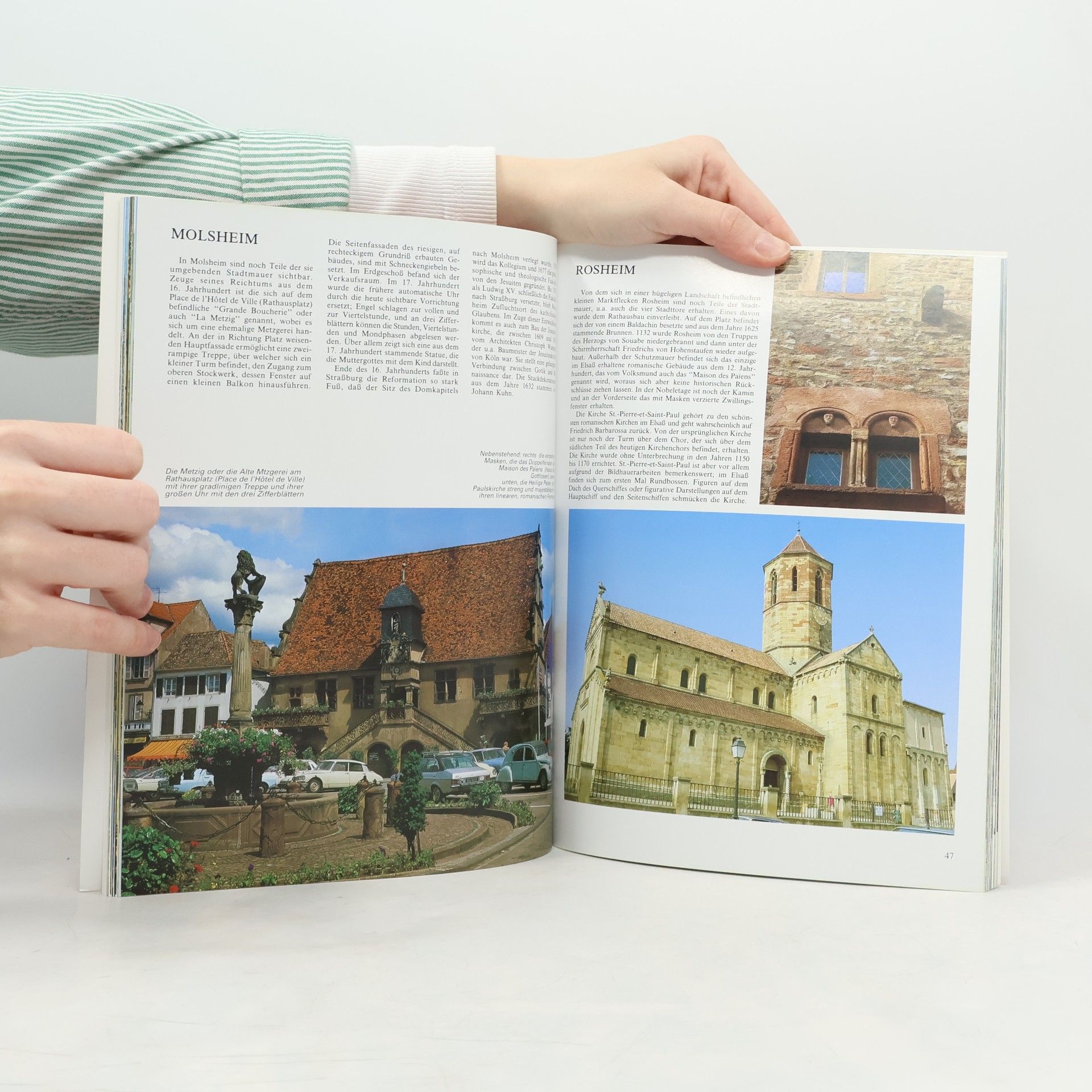 Miche le Caroline Heck Das goldene Buch Elsass