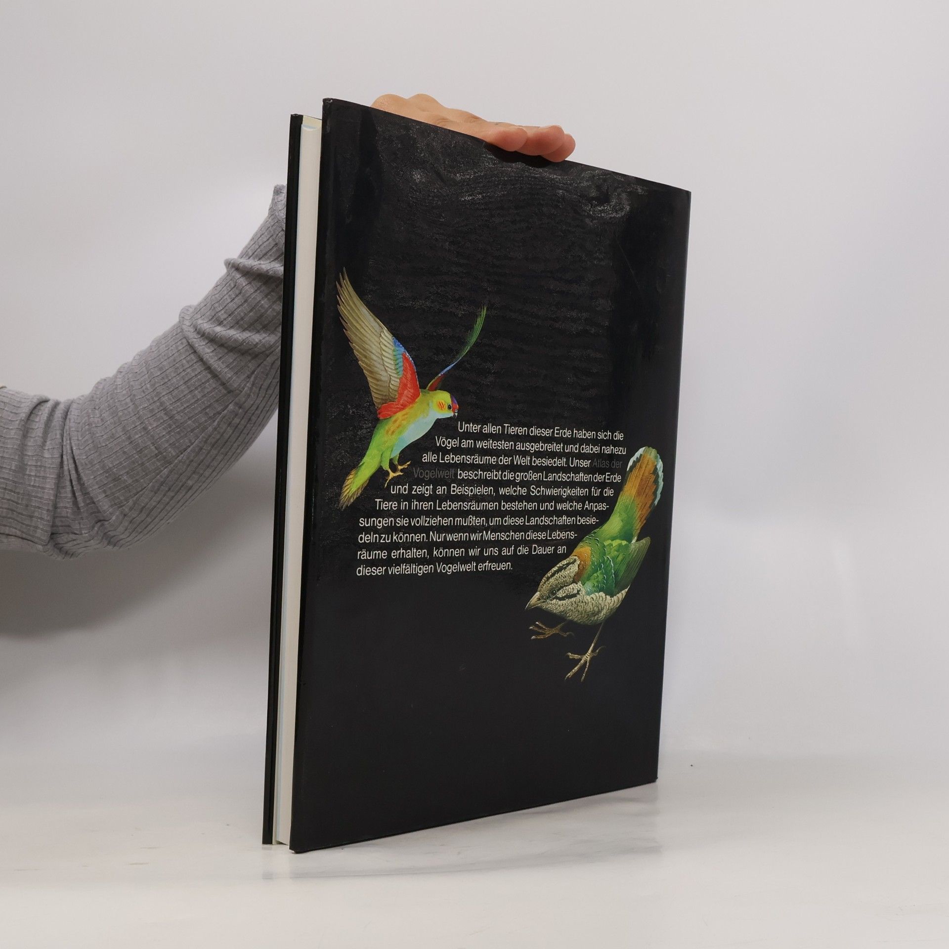 Peter Evans Atlas der Vogelwelt