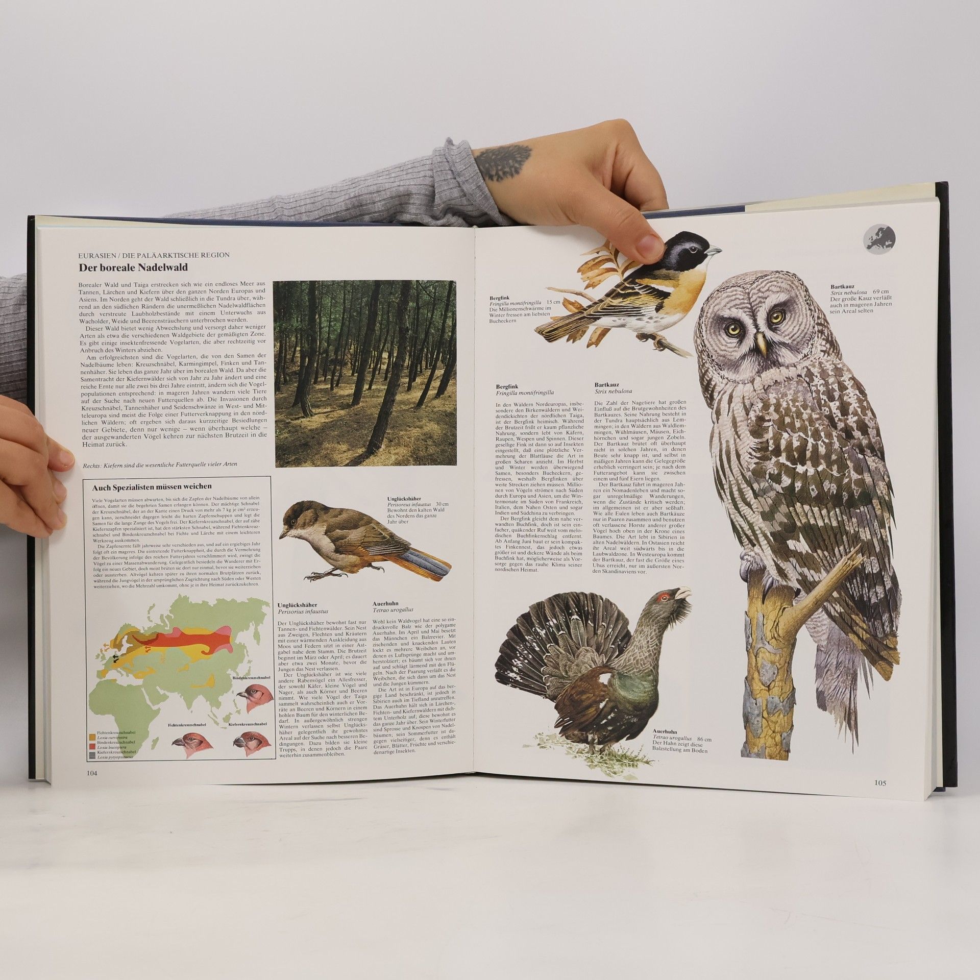 Peter Evans Atlas der Vogelwelt
