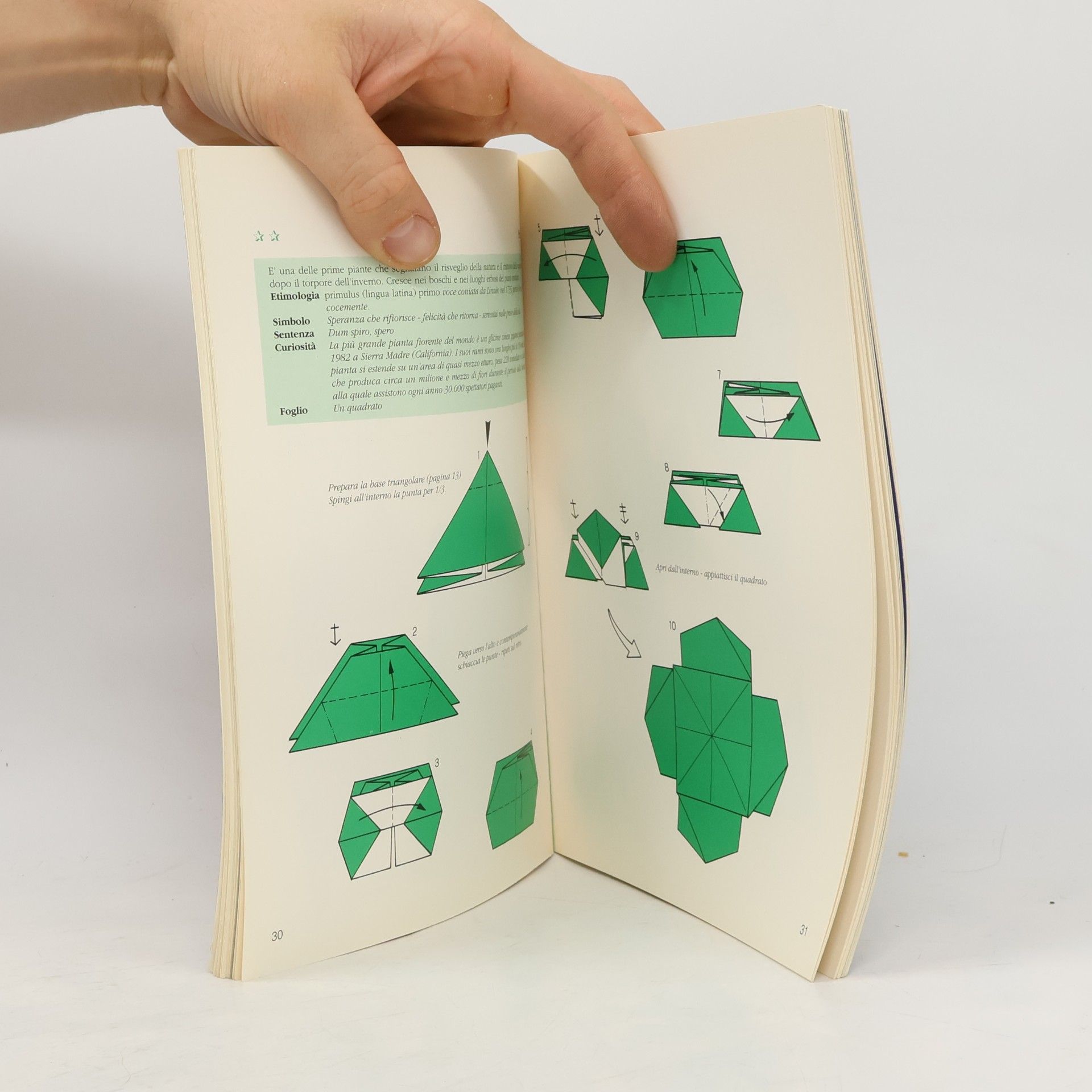 Nilva Fina Pillan Origami fioriti