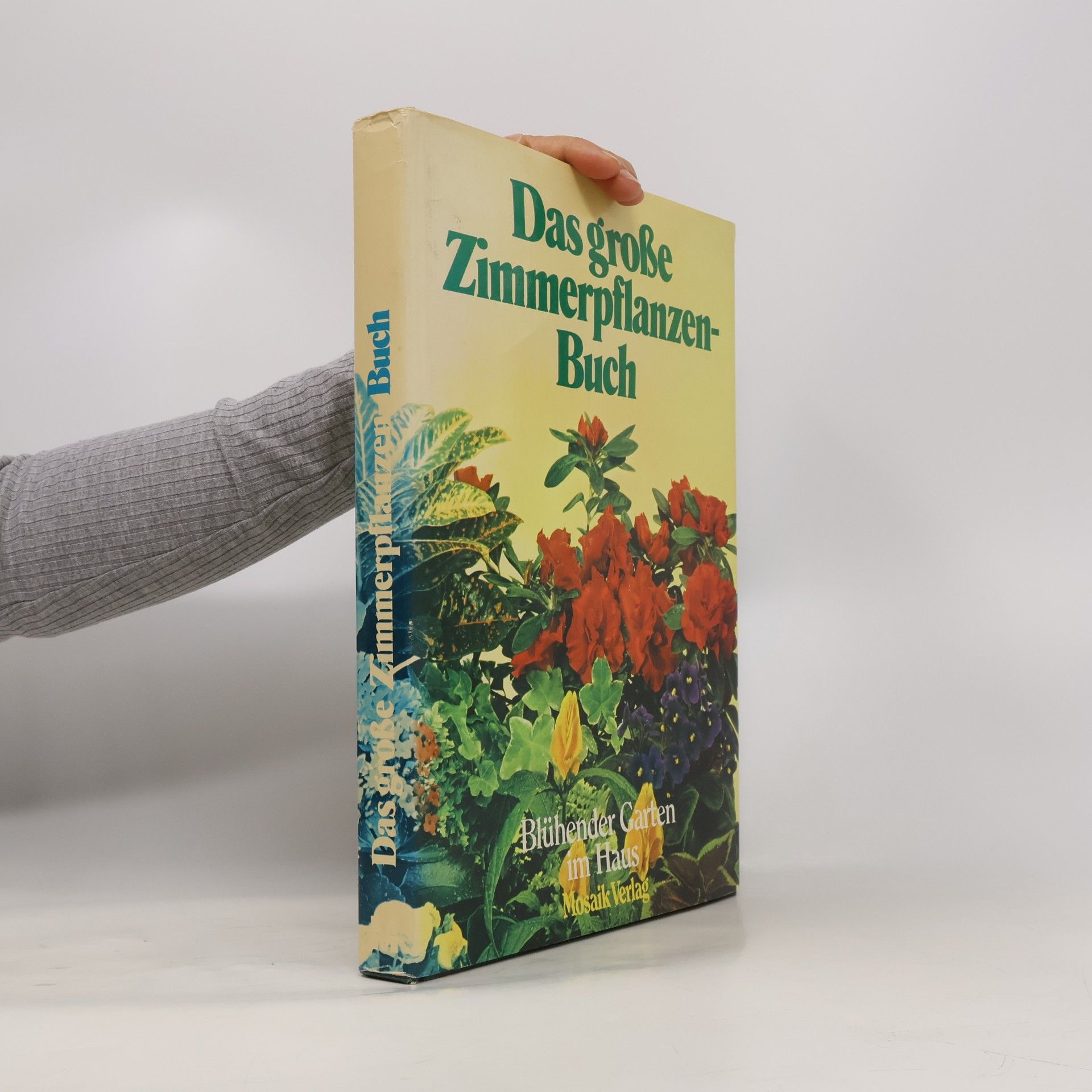 Auteurscollectief Das große Zimmerpflanzen-Buch