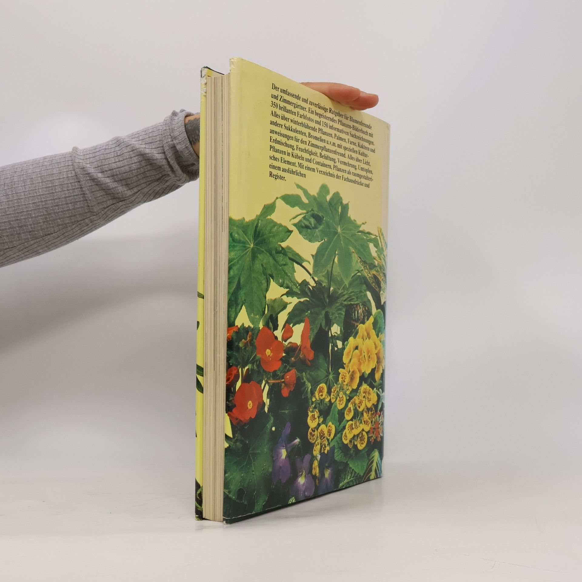 Auteurscollectief Das große Zimmerpflanzen-Buch