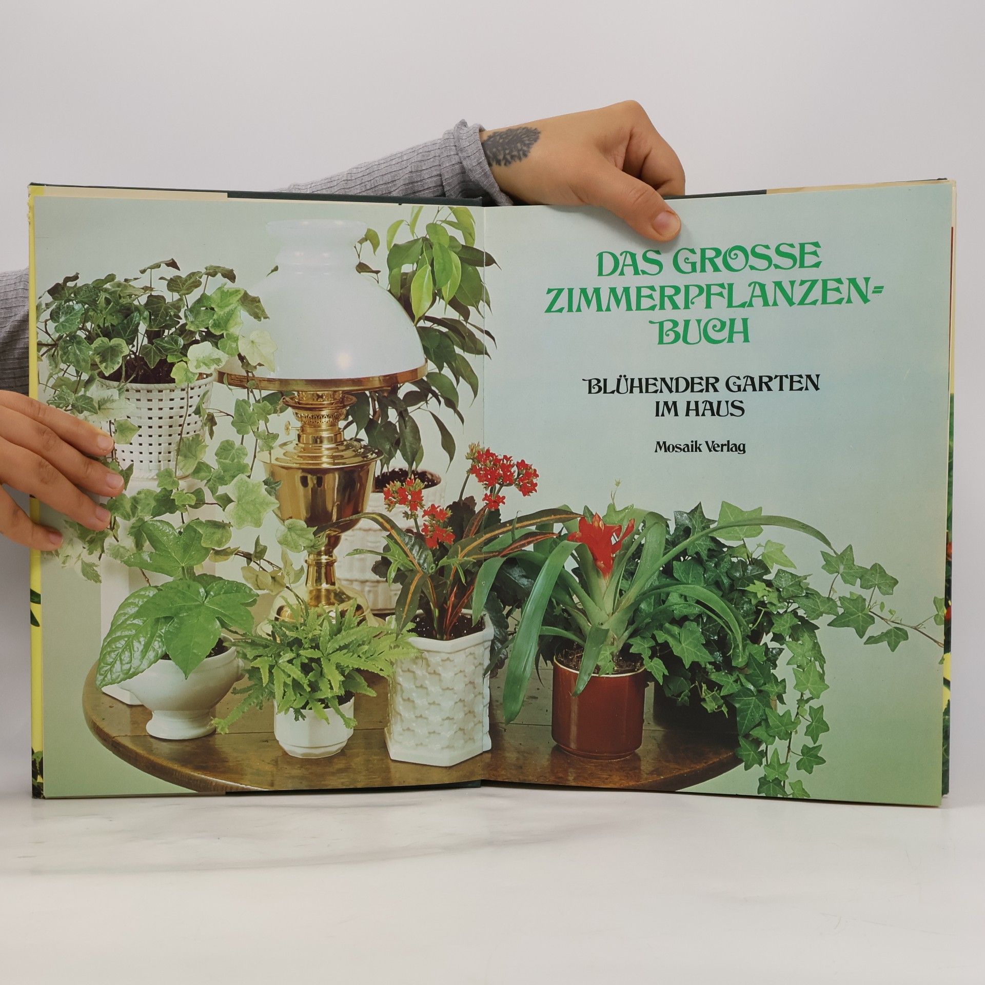 Auteurscollectief Das große Zimmerpflanzen-Buch