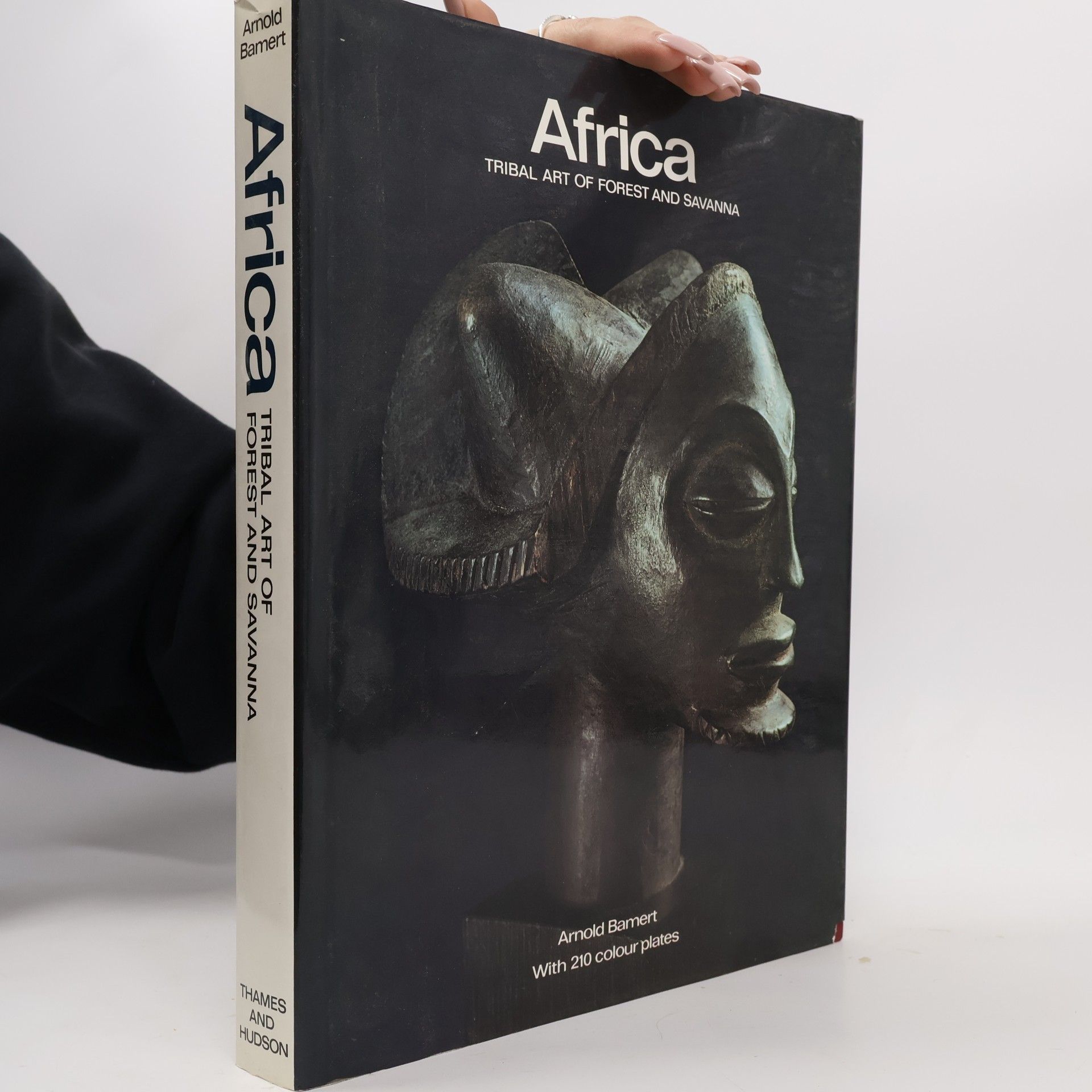 Arnold Bamert Africa