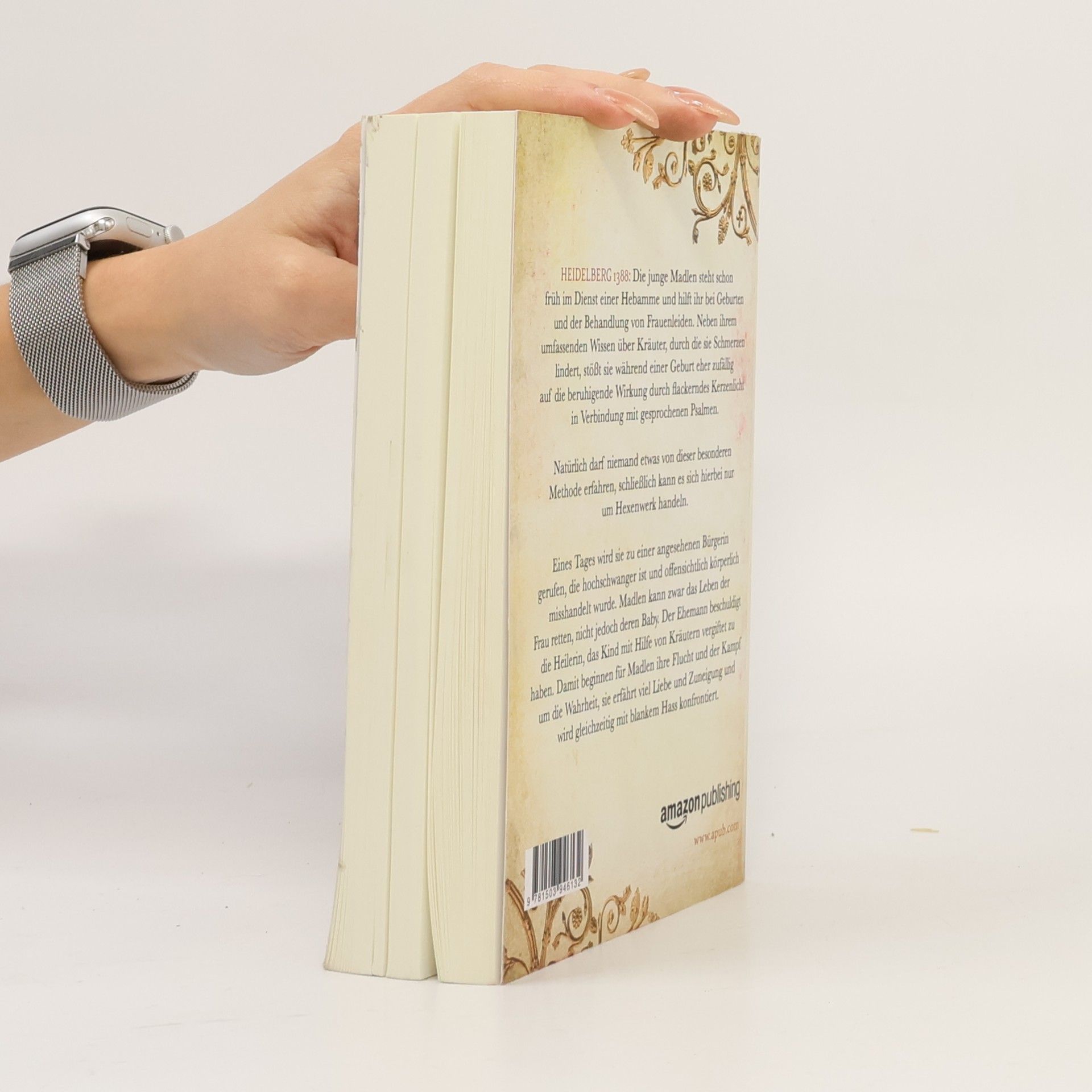 Ellin Carsta Die heimliche Heilerin Bd.1
