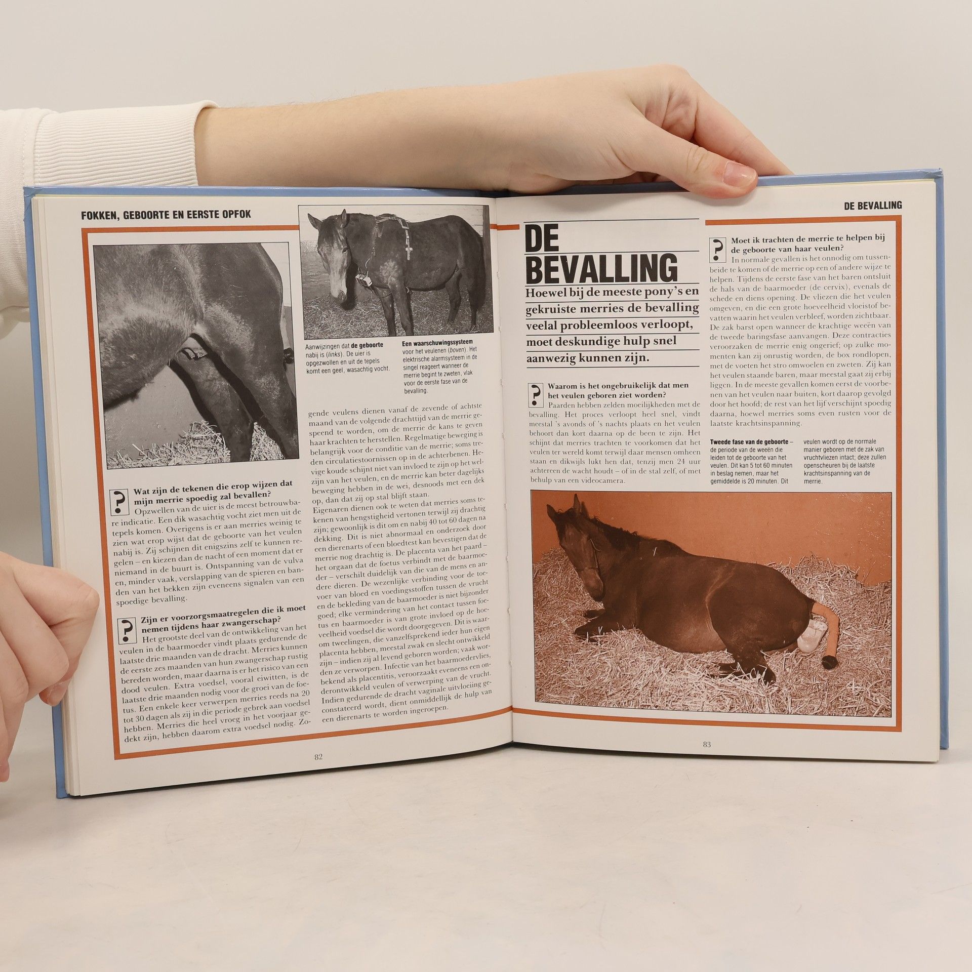 Chris May Handboek paardenverzorging