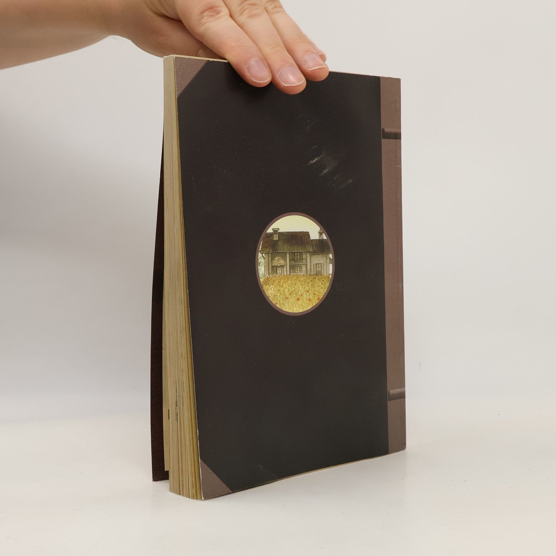 Various authors Il grande libro della pizza