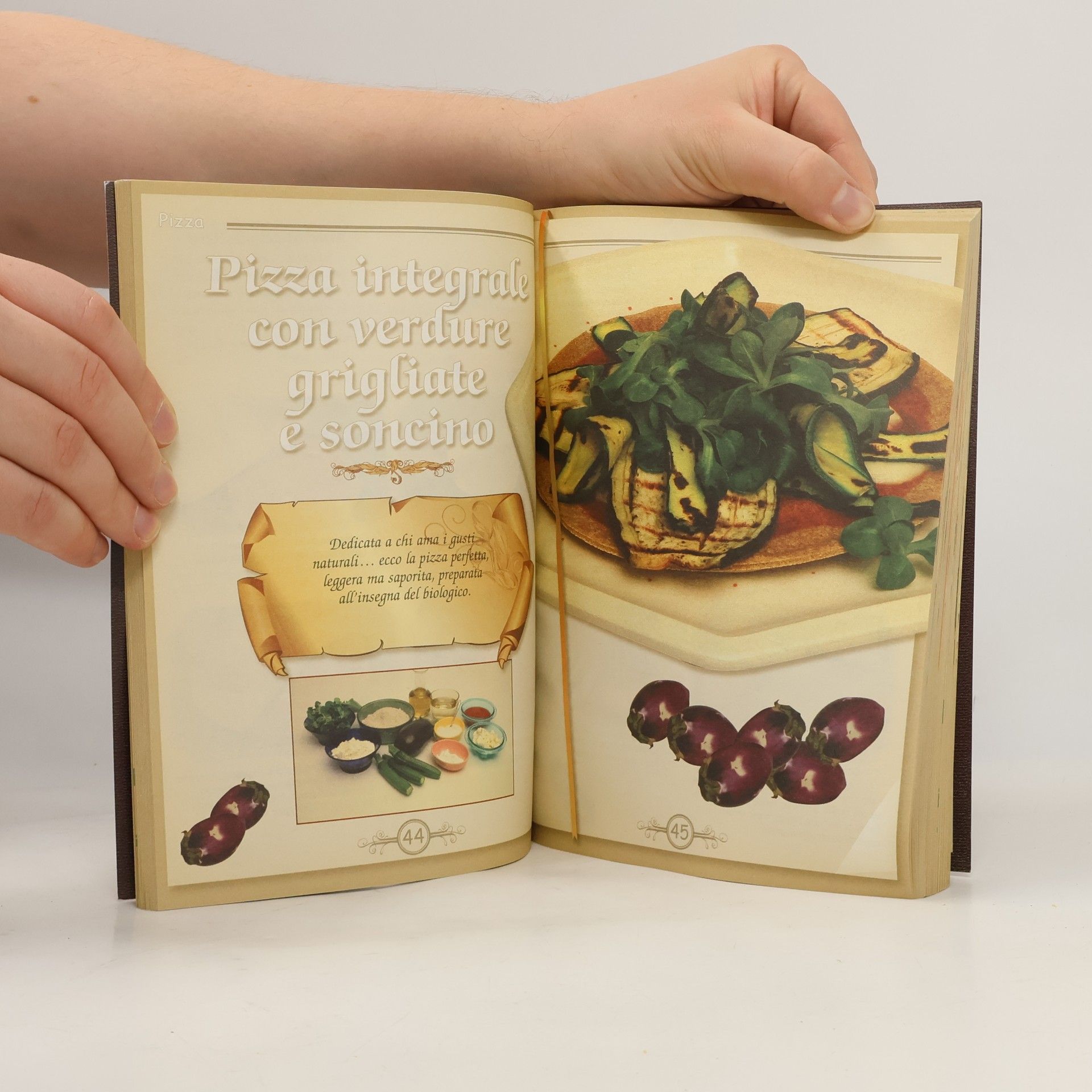 Various authors Il grande libro della pizza