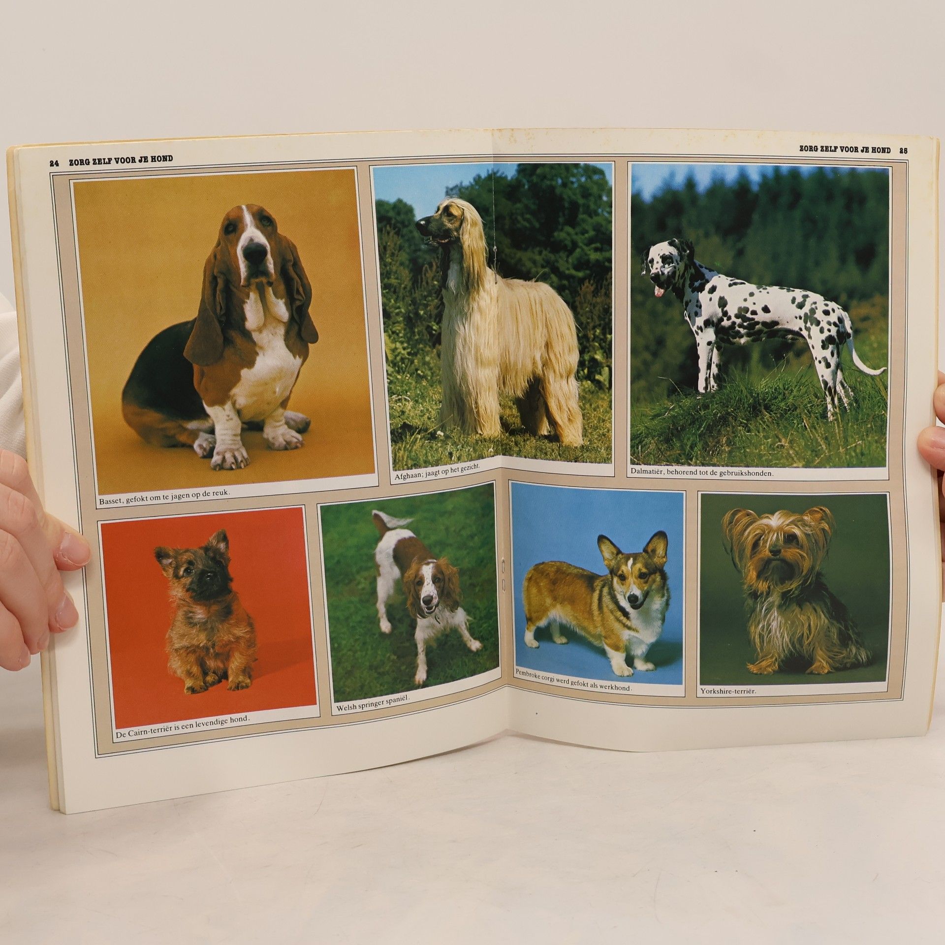 Tina Hearne Zorg zelf voor je hond