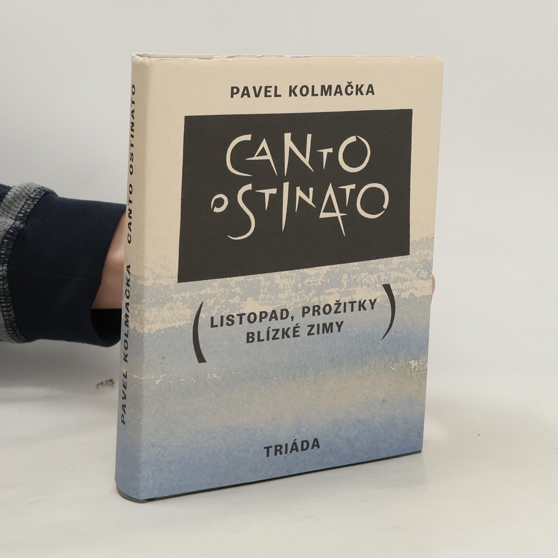 Canto ostinato (Listopad, prožitky blízké zimy)