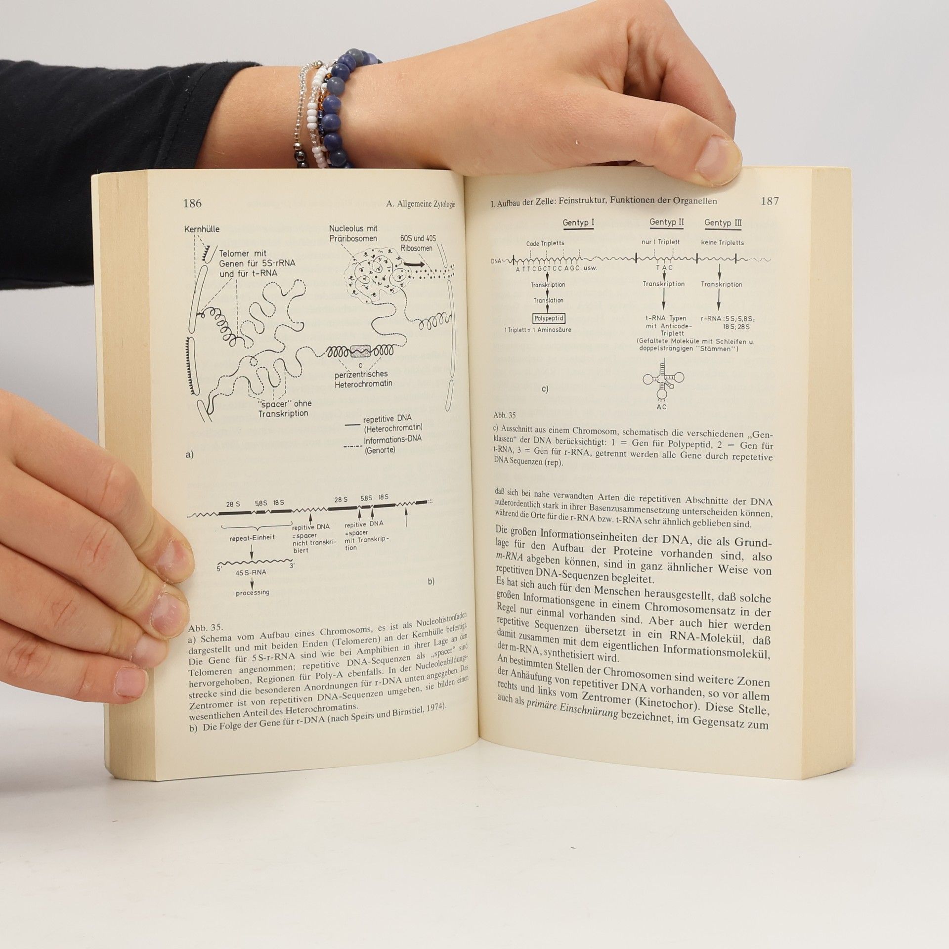 Hans Ulrich Koecke Allgemeine Biologie
