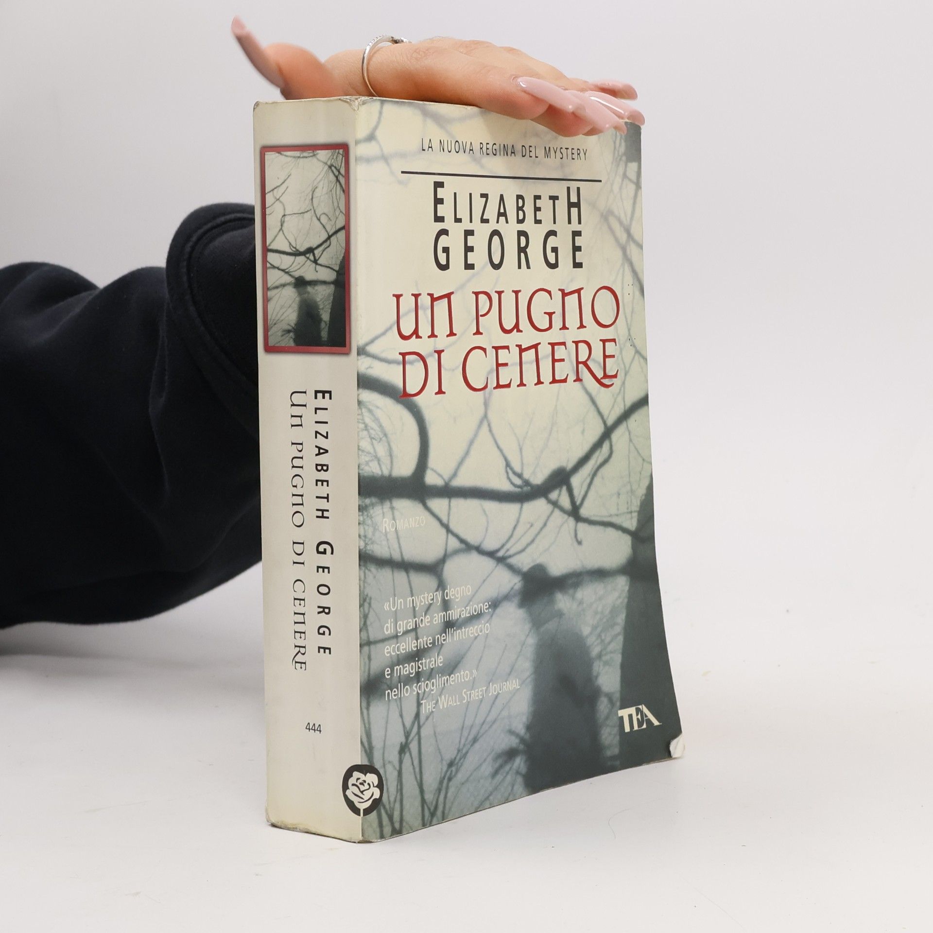 Elizabeth George Un pugno di cenere