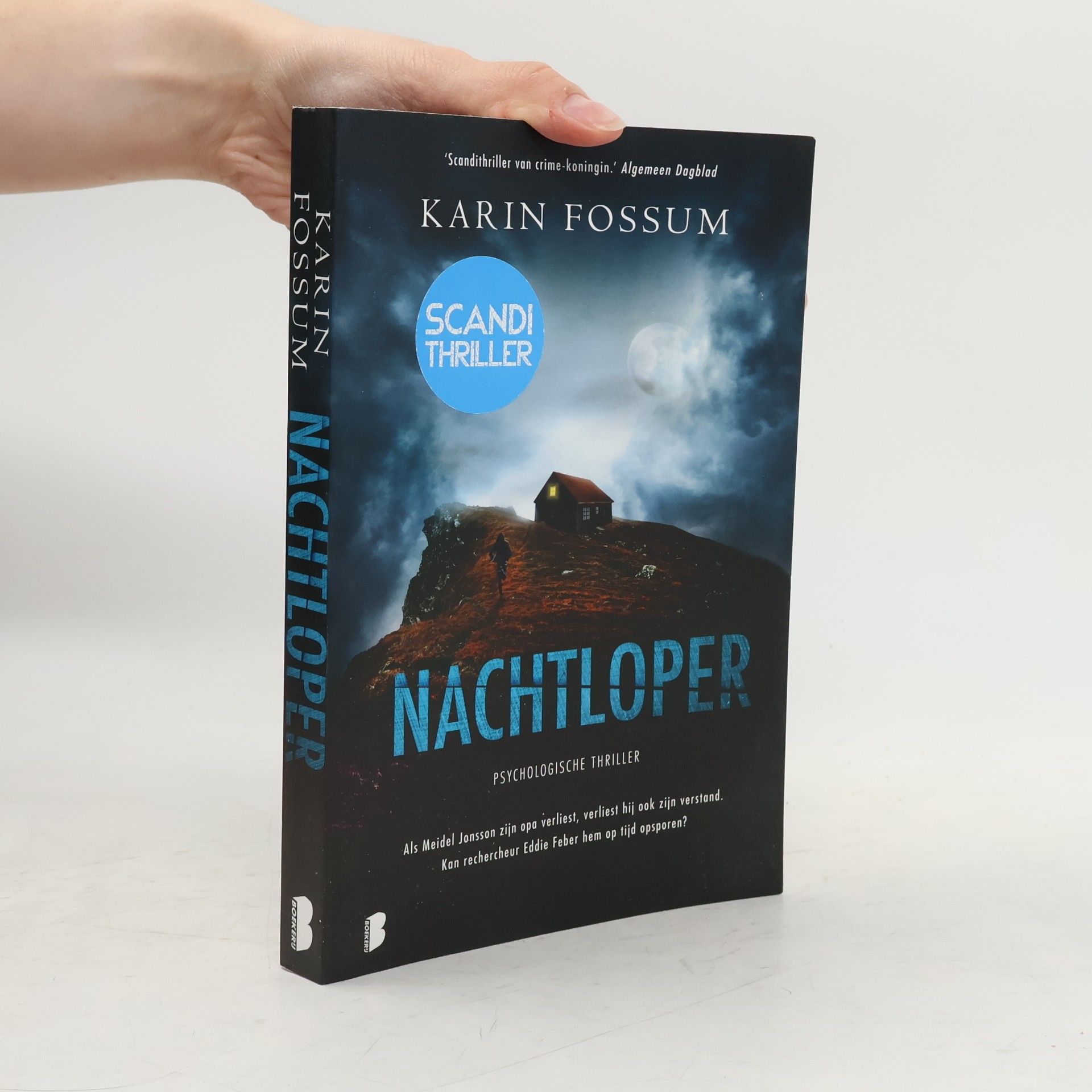 Karin Fossum Nachtloper
