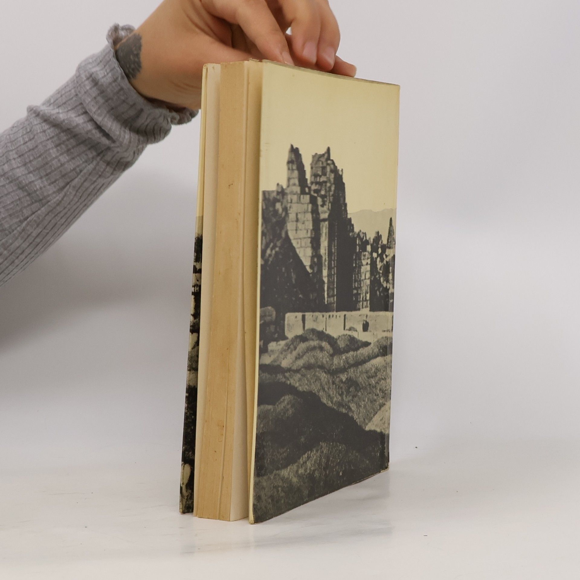 Leonard Woolley Dokumente. Ausgrabungen - Lebendige Geschichte