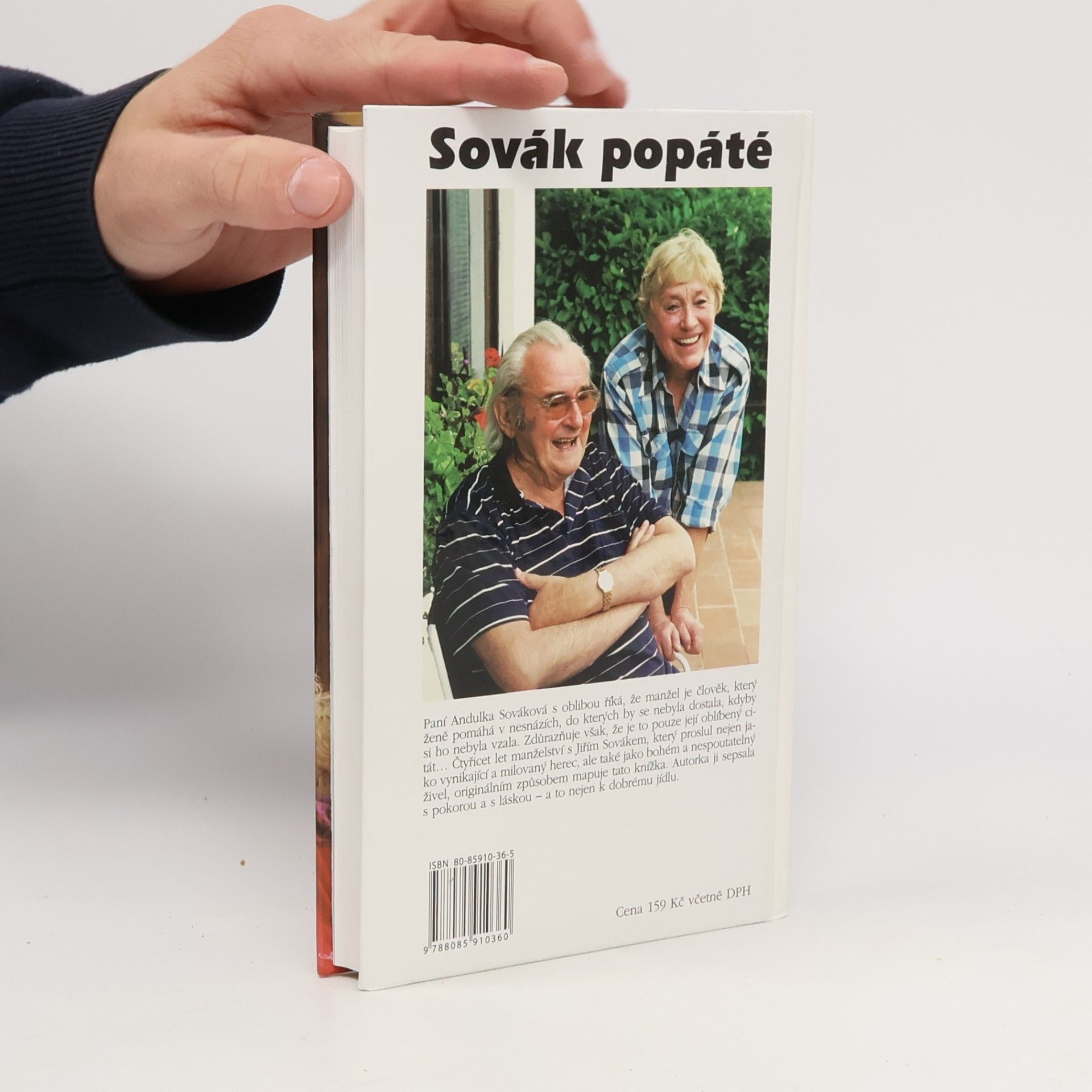 Anna Sováková Sovák popáté. Život se Sovákem, aneb, Uragán