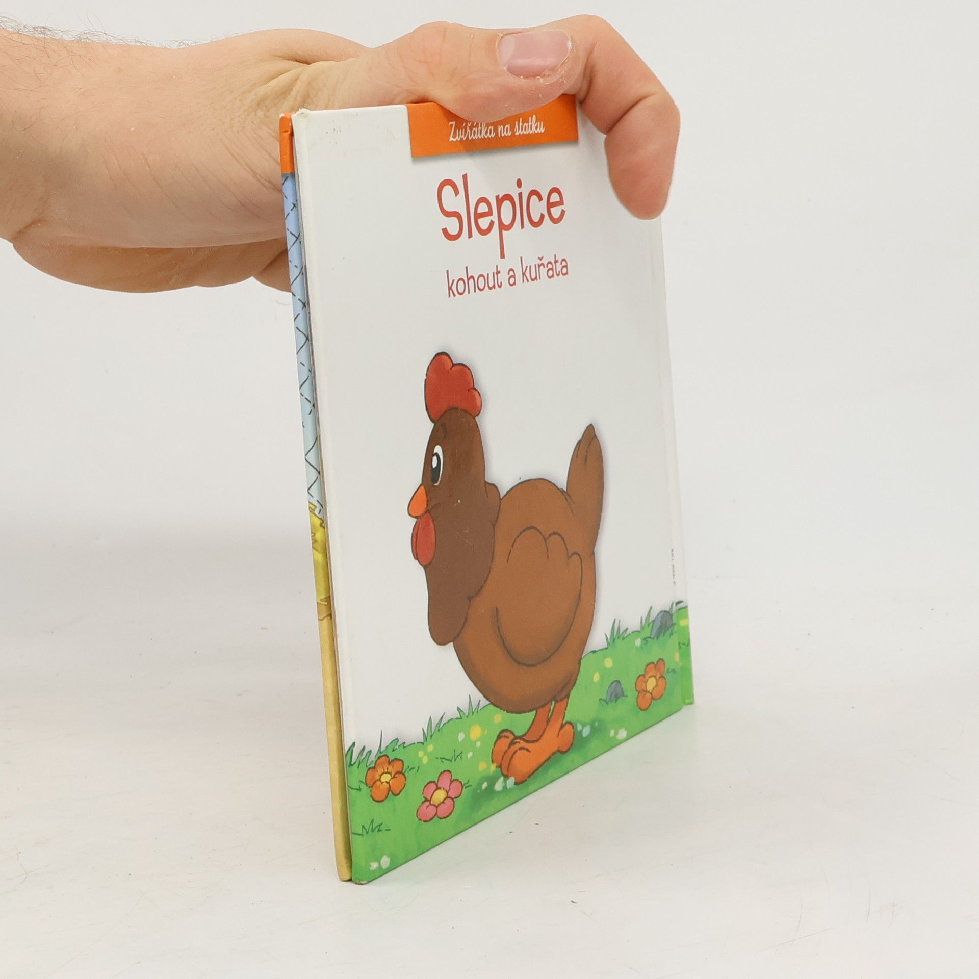 Kolektiv autorů Slepice, kohout a kuřata