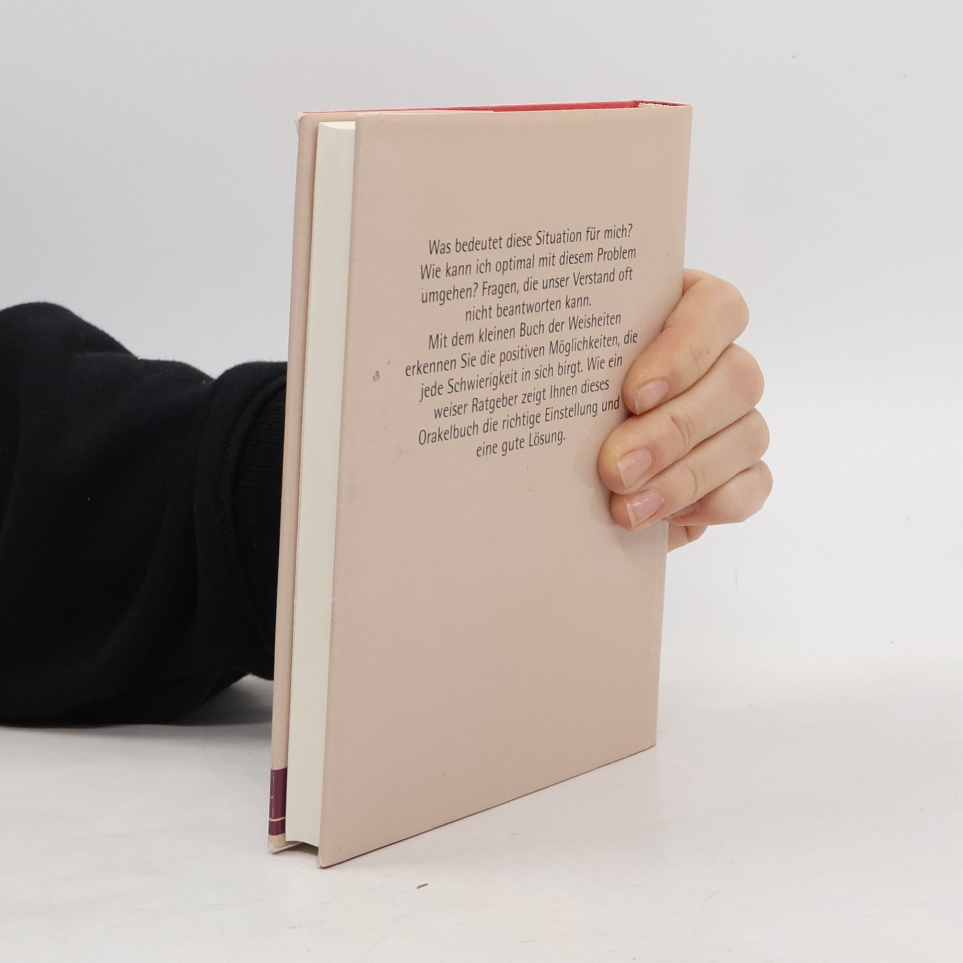Susan Hayward Das kleine Buch der Weisheiten