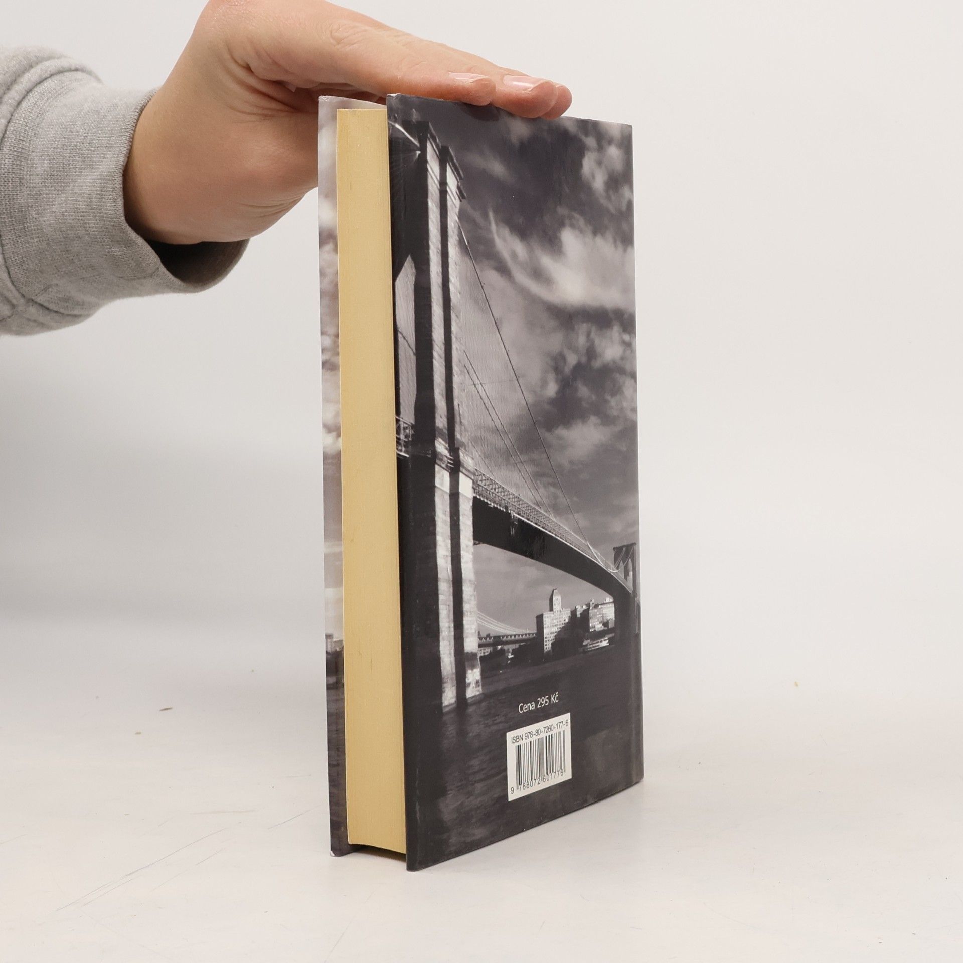 Paul Auster Brooklynské panoptikum