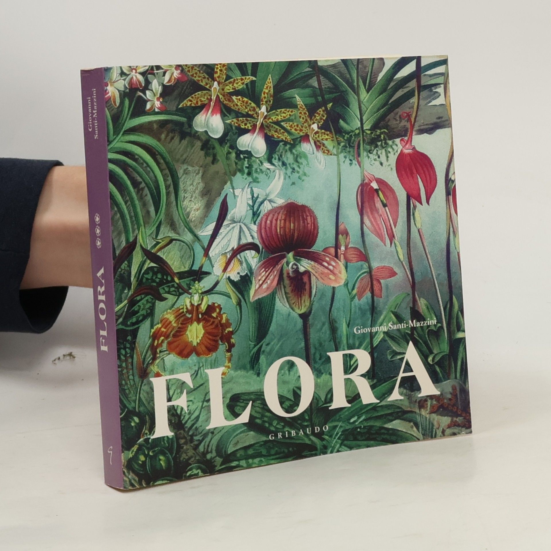 Giovanni Santi Mazzini Flora 3