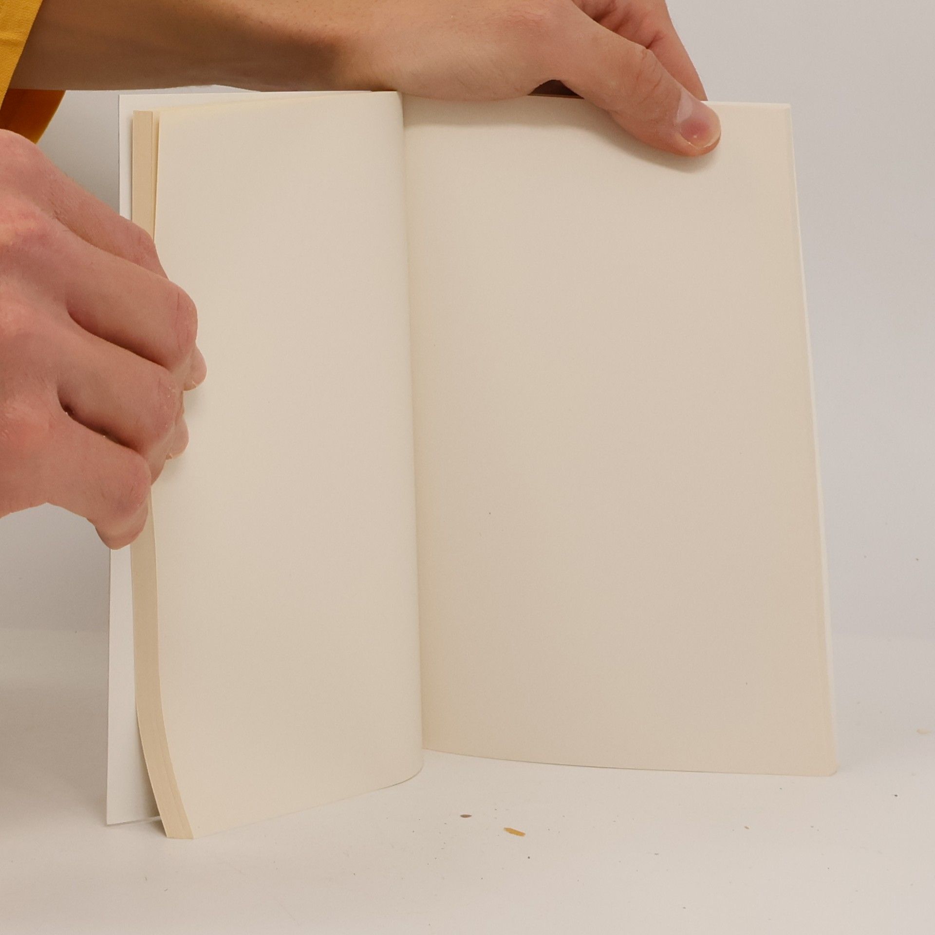 AA.VV. Flexibles Tagebuch