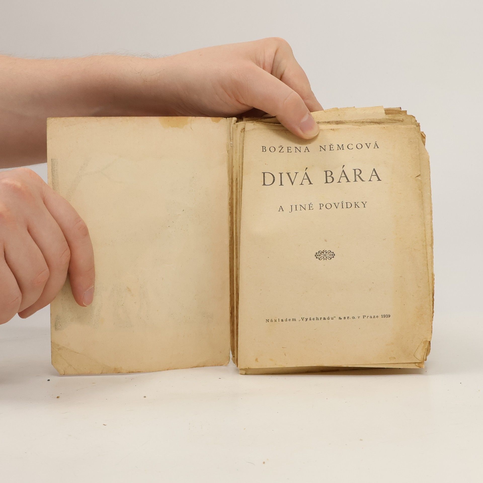 Božena Němcová Divá Bára a jiné povídky