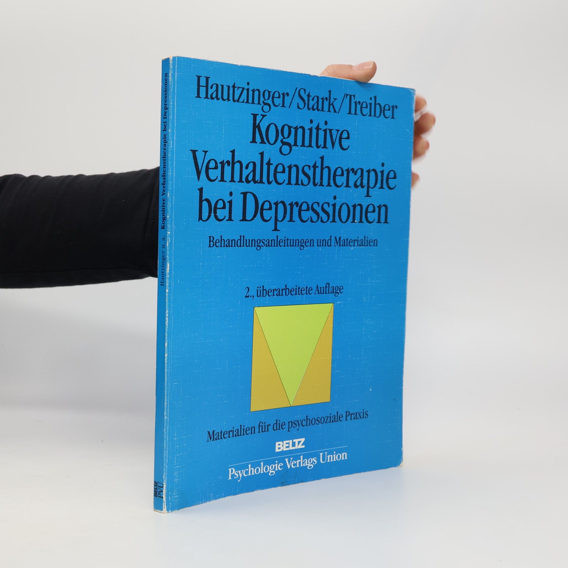 Martin Hautzinger Kognitive Verhaltenstherapie bei Depressionen