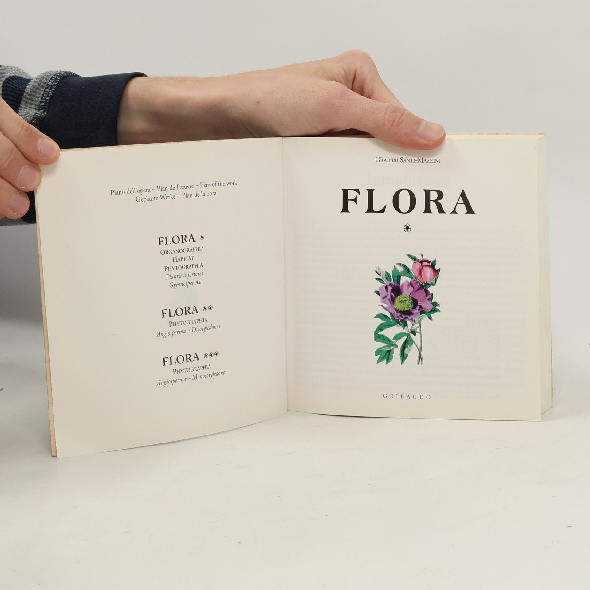 Giovanni Santi Mazzini Flora 1