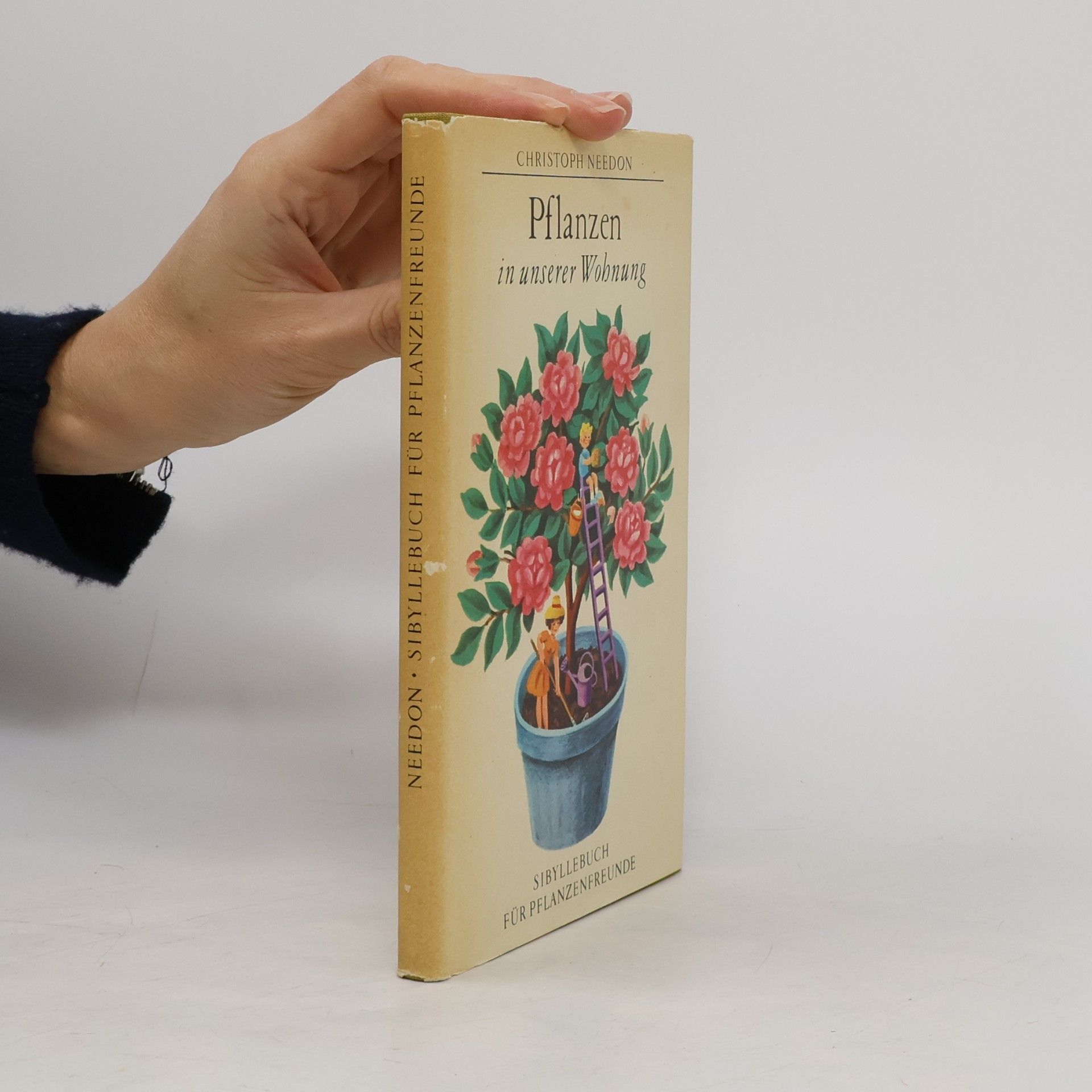 Pflanzen in unserer Wohnung