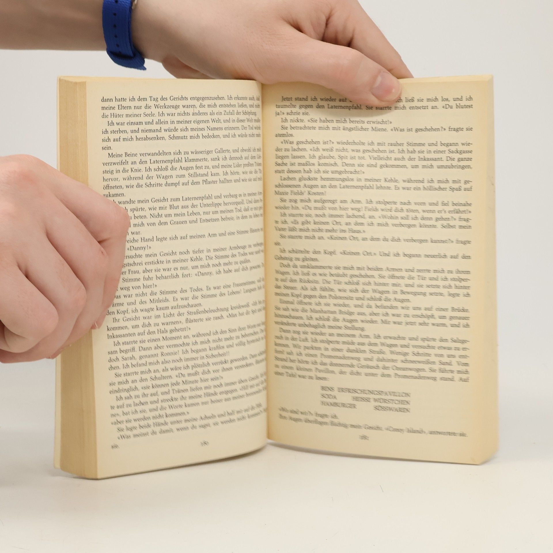 Harold Robbins Einen Stein für Danny Fisher