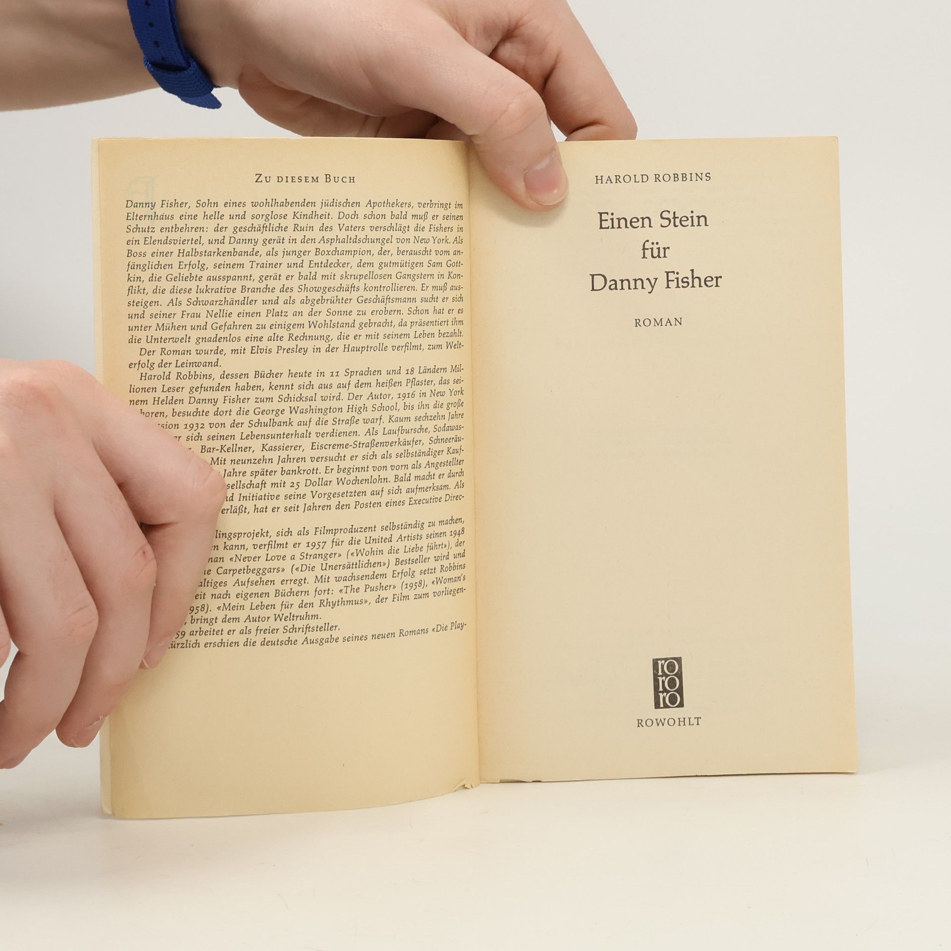 Harold Robbins Einen Stein für Danny Fisher