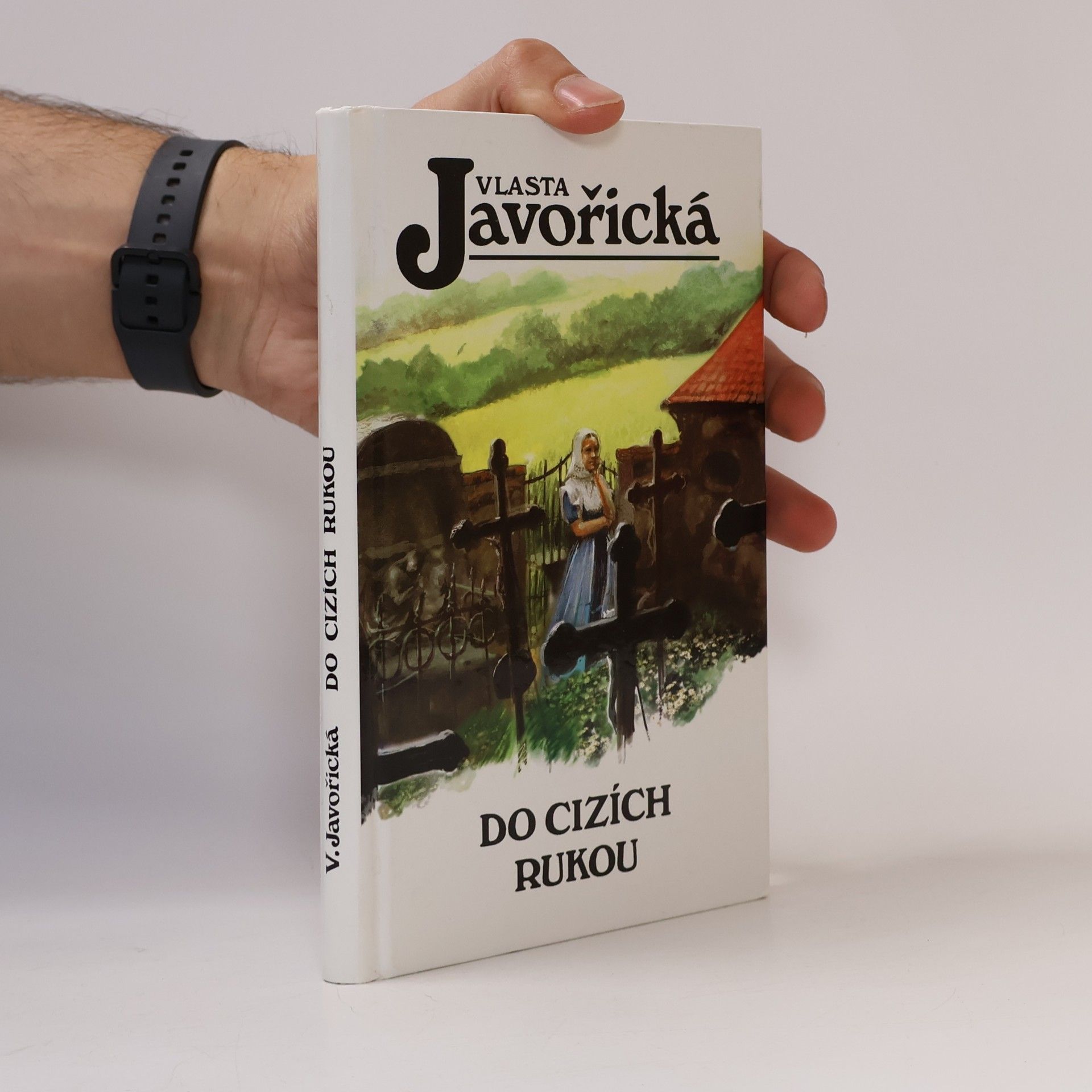 Do cizích rukou