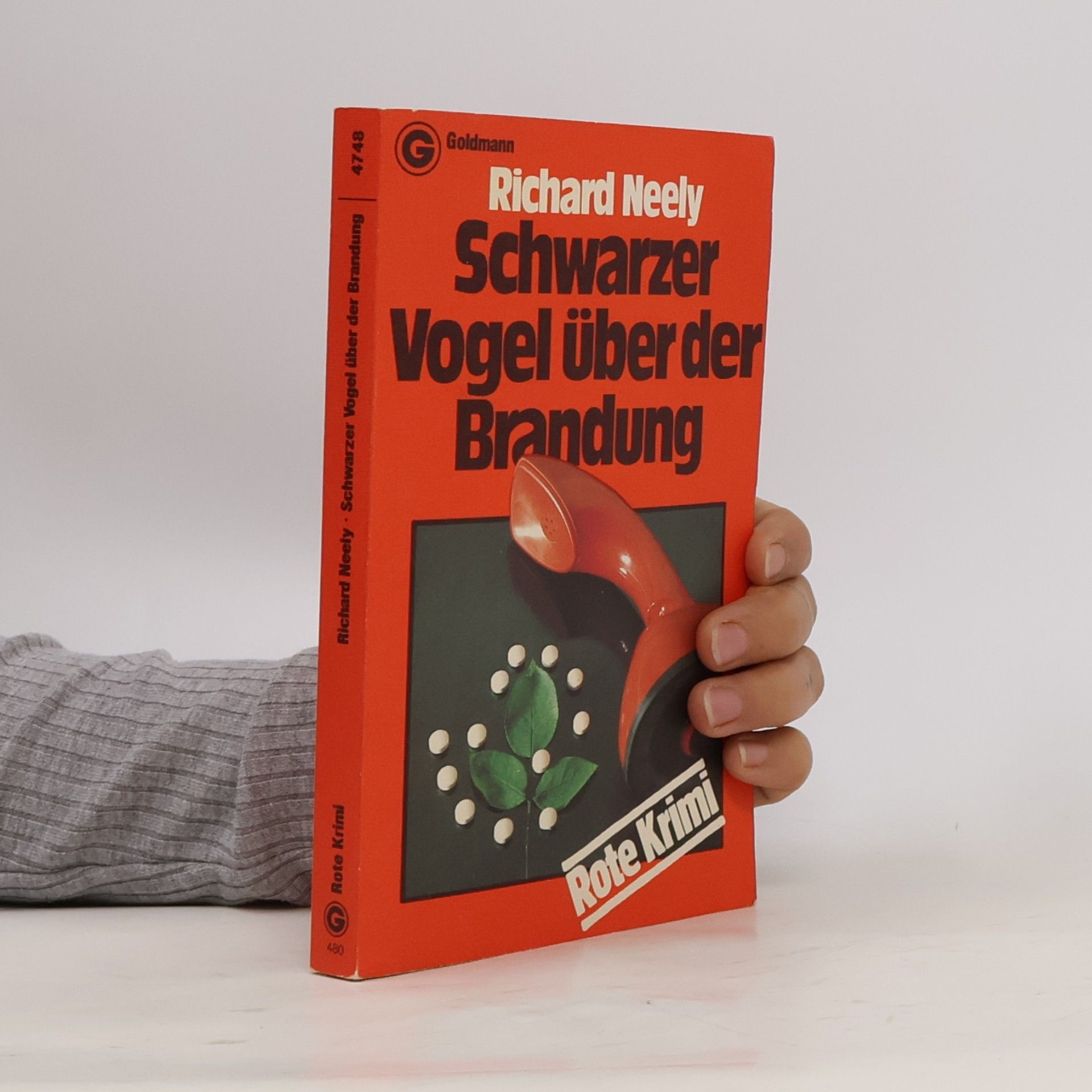 Schwarzer Vogel über der Brandung