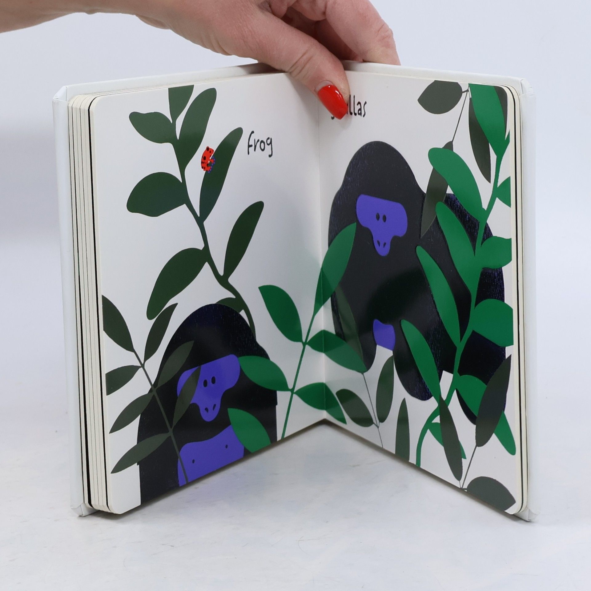 Twirl Jungle Animals (Baby Basics)
