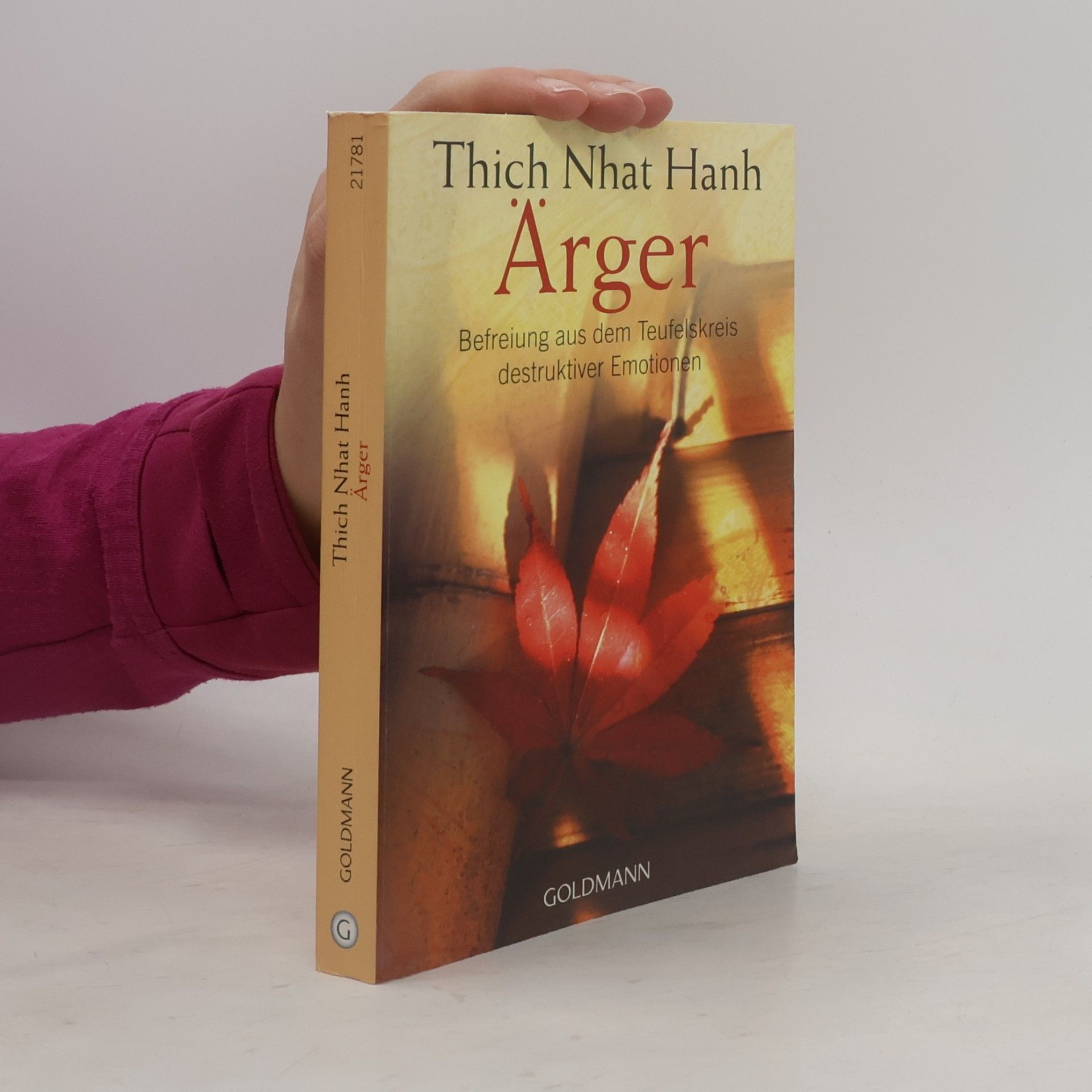 Hạnh Nhat Ärger