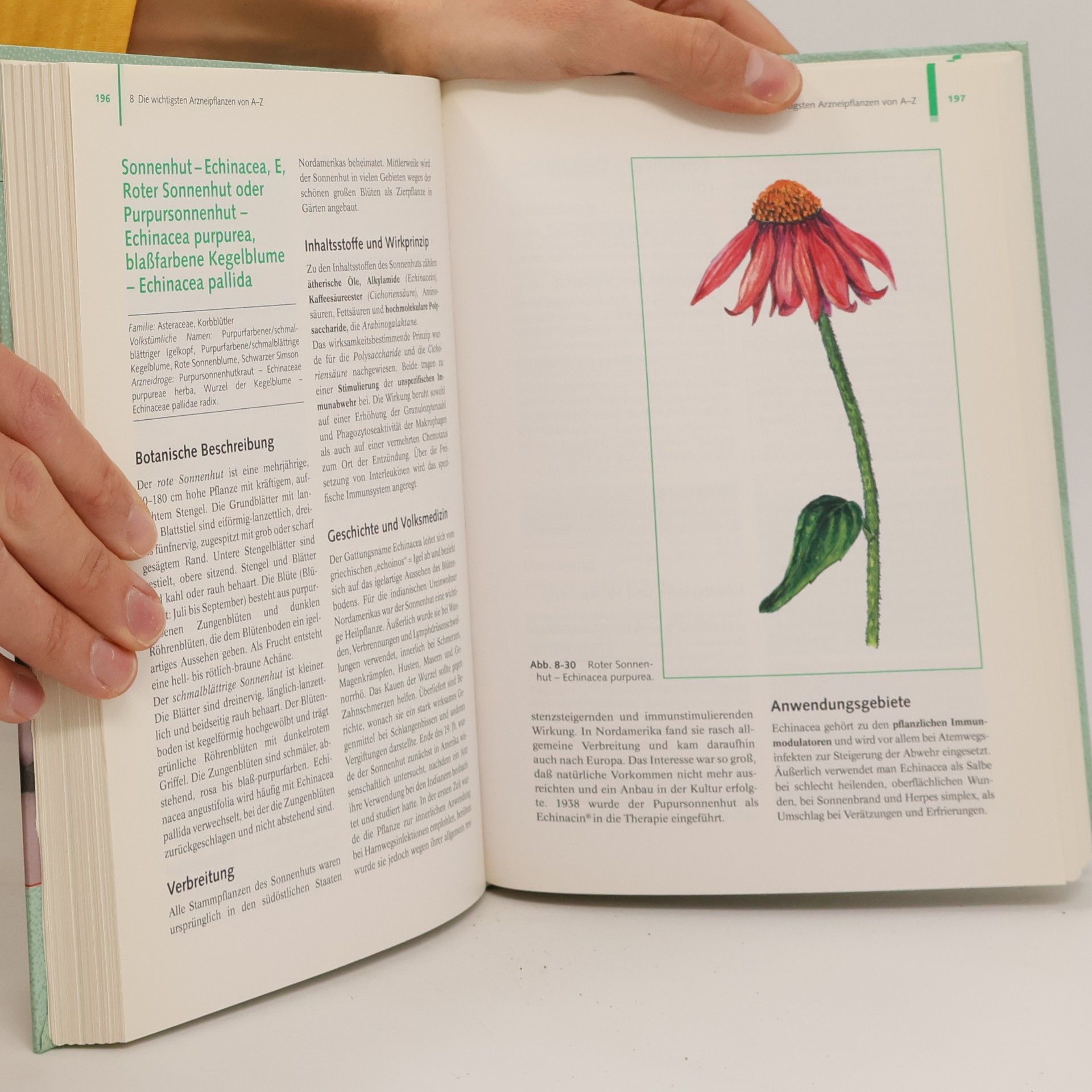 Margret Wenigmann Phytotherapie