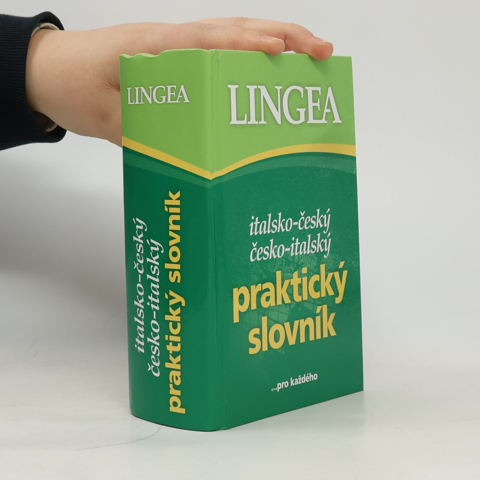 Autorenkollektiv Italsko-český česko-italský praktický slovník pro každého