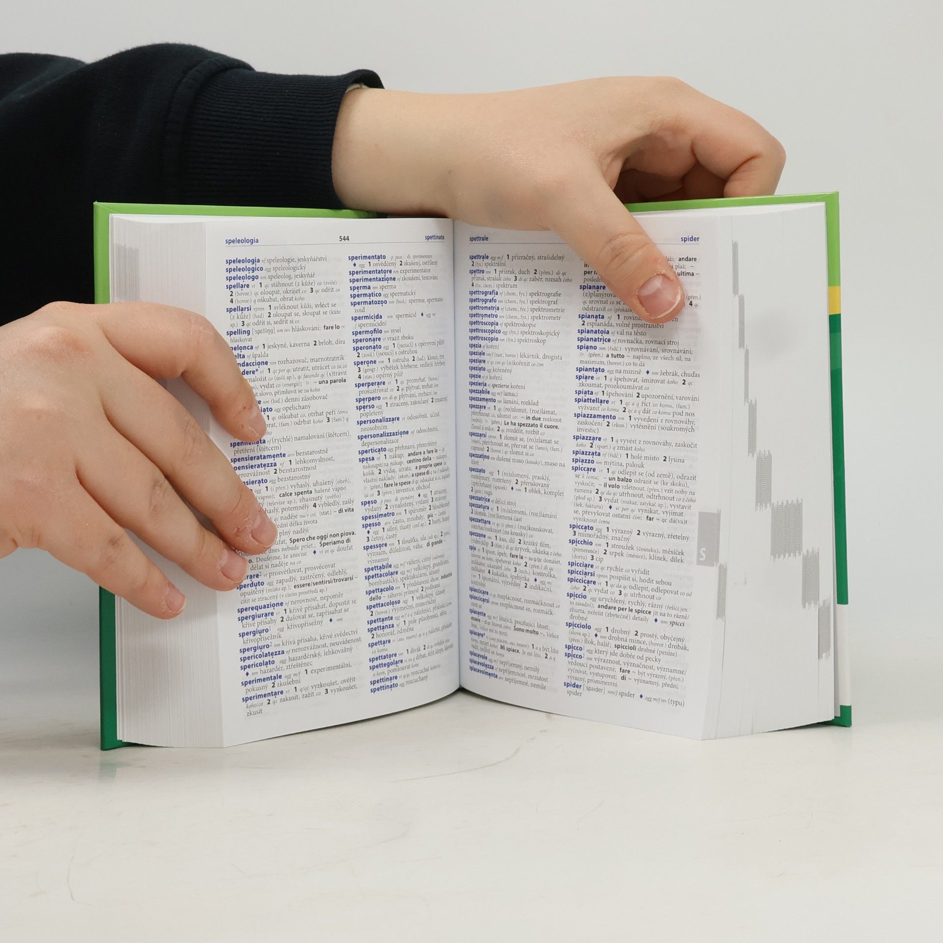 Autorenkollektiv Italsko-český česko-italský praktický slovník pro každého