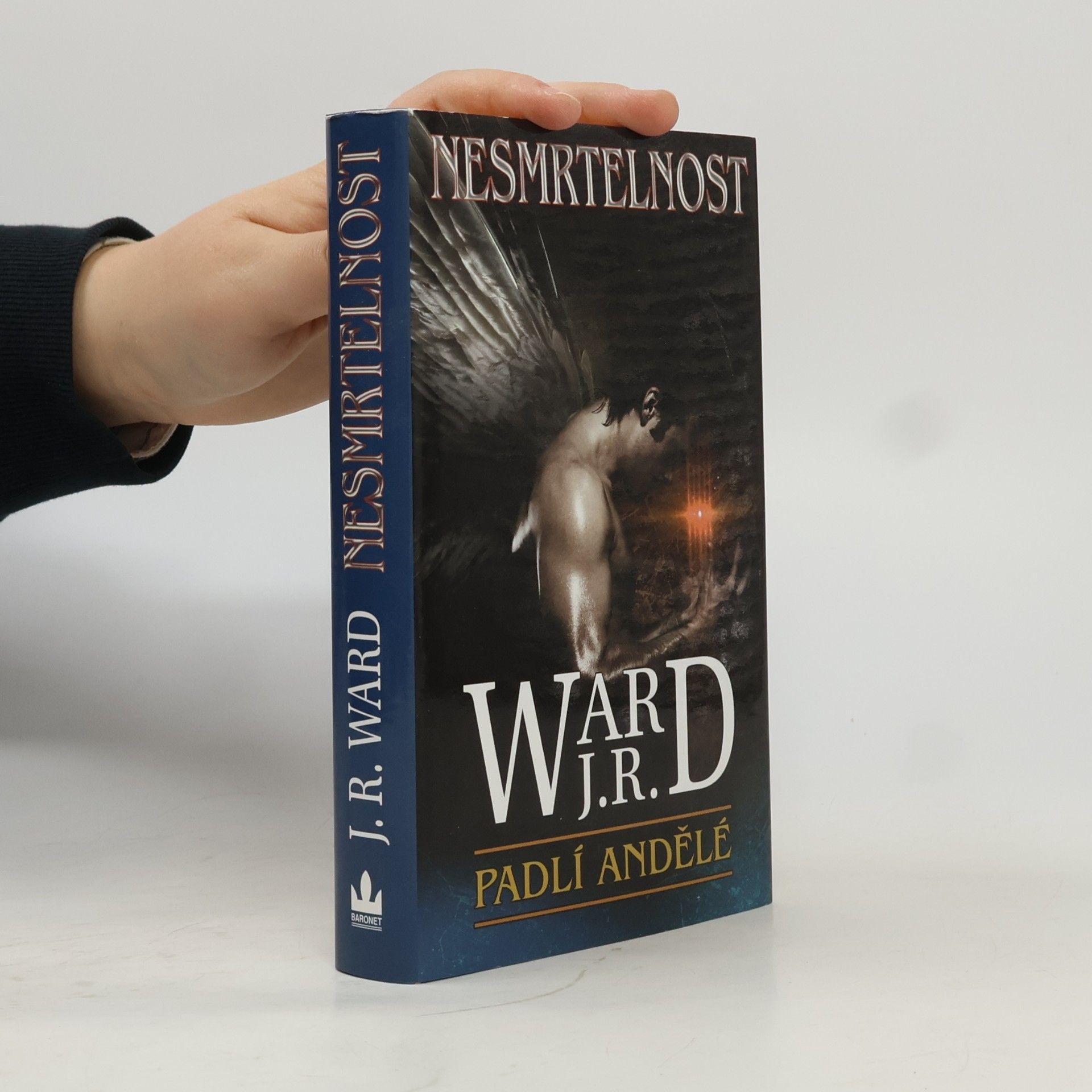 John Ward Nesmrtelnost. Šestý díl románového cyklu Padlí andělé