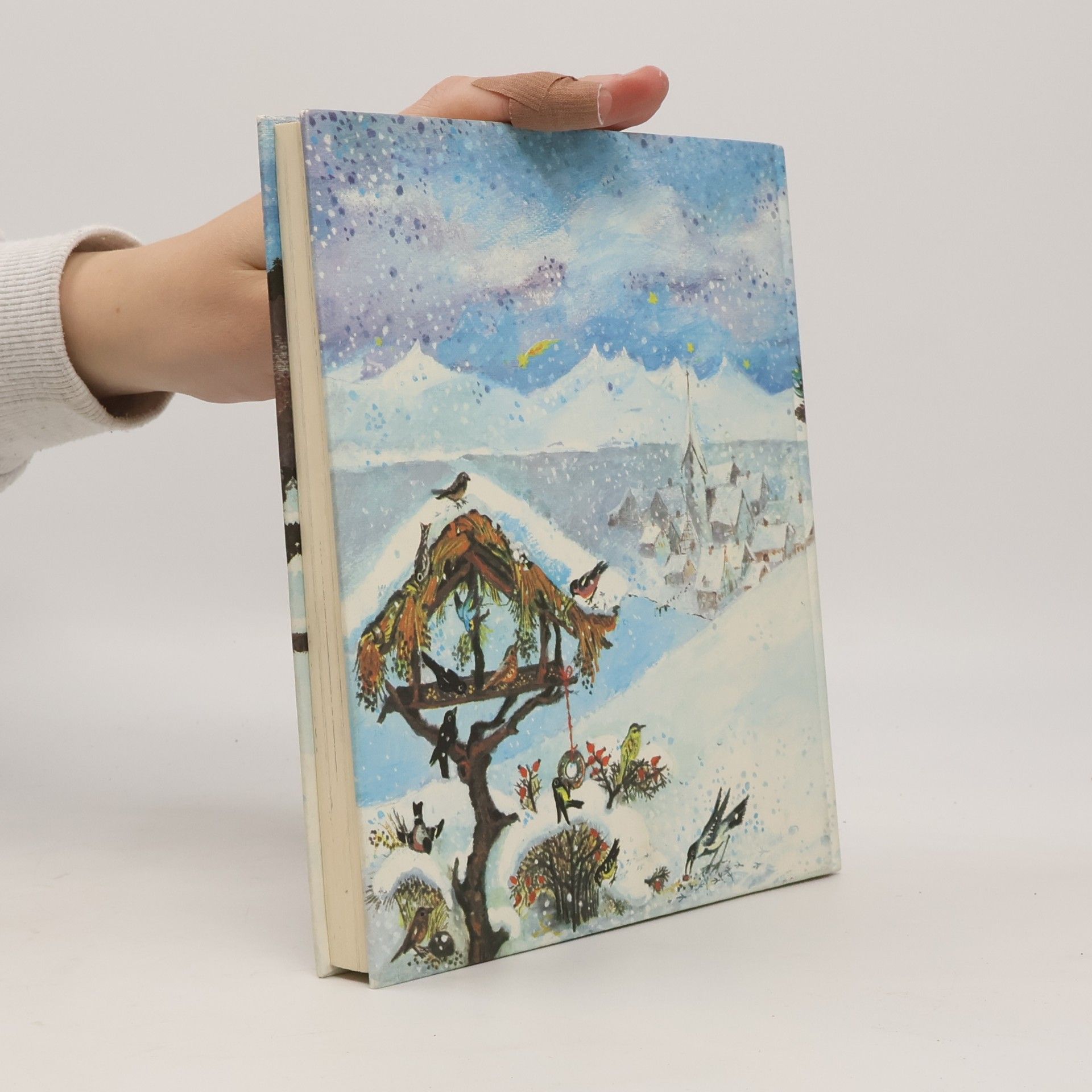Autorenkollektiv Weihnachtsträume. Geschichte für Kinder zur Advents- und Weihnachtszeit