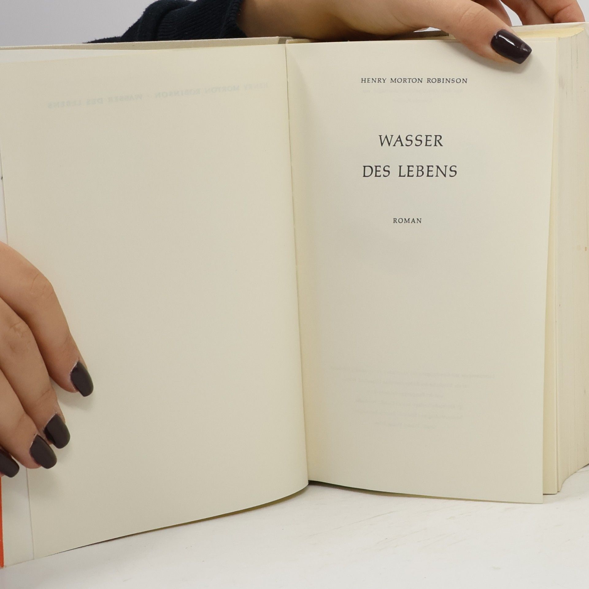 Henry M. Robinson Wasser des Lebens