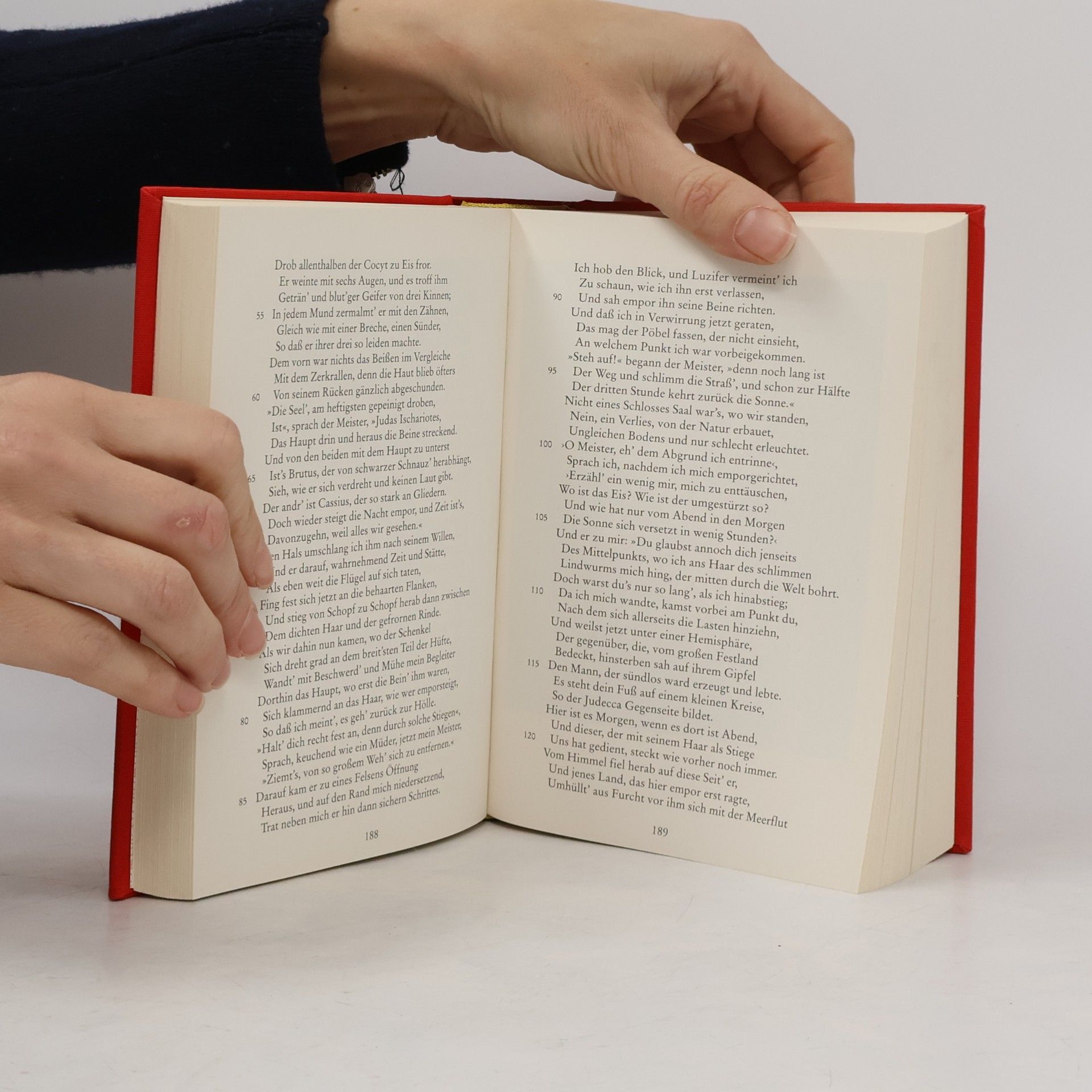 Dante Alighieri Die Göttliche Komödie: mit über 100 Illustrationen
