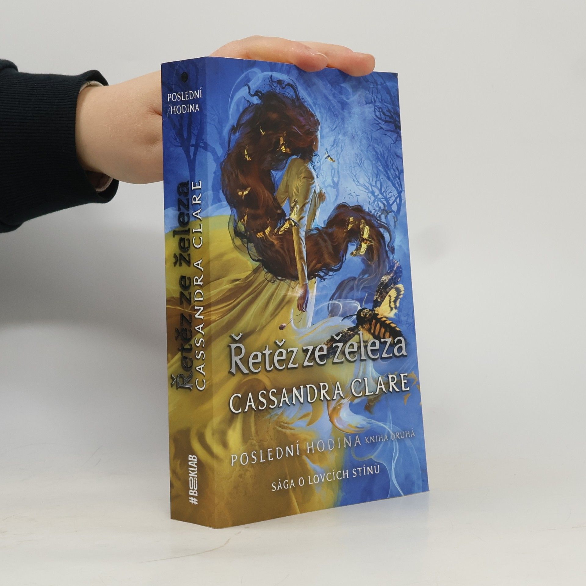 Cassandra Clare Poslední hodina. Kniha druhá, Řetěz ze železa