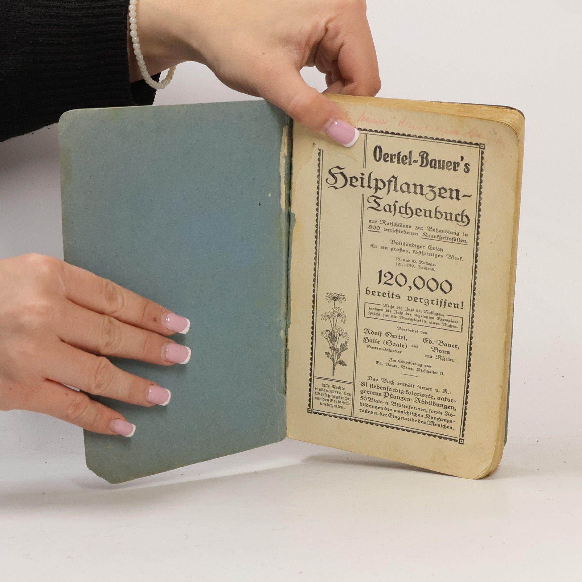 Adolf Oertel Oertel-Bauers Heilpflanzen-Taschenbuch