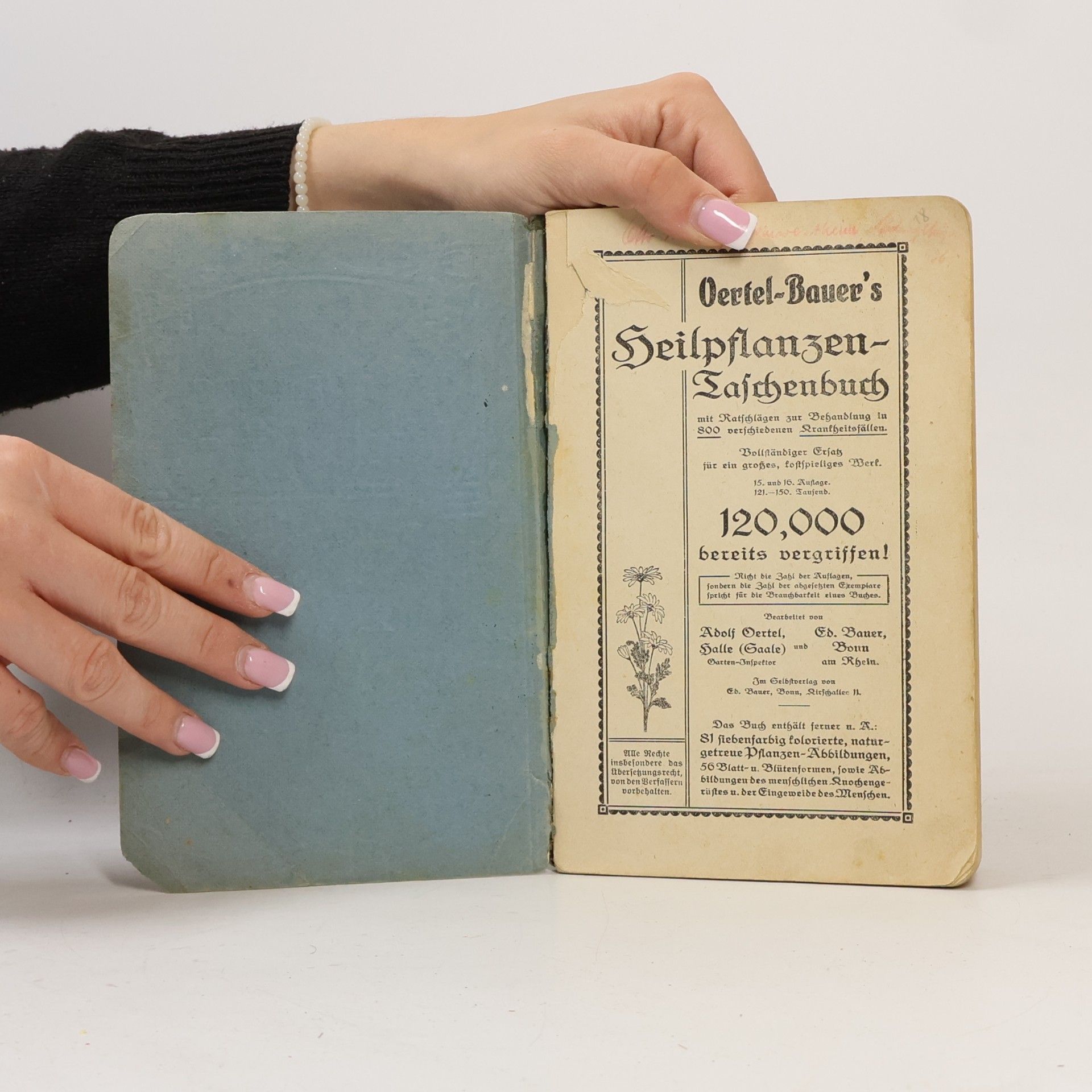 Adolf Oertel Oertel-Bauers Heilpflanzen-Taschenbuch